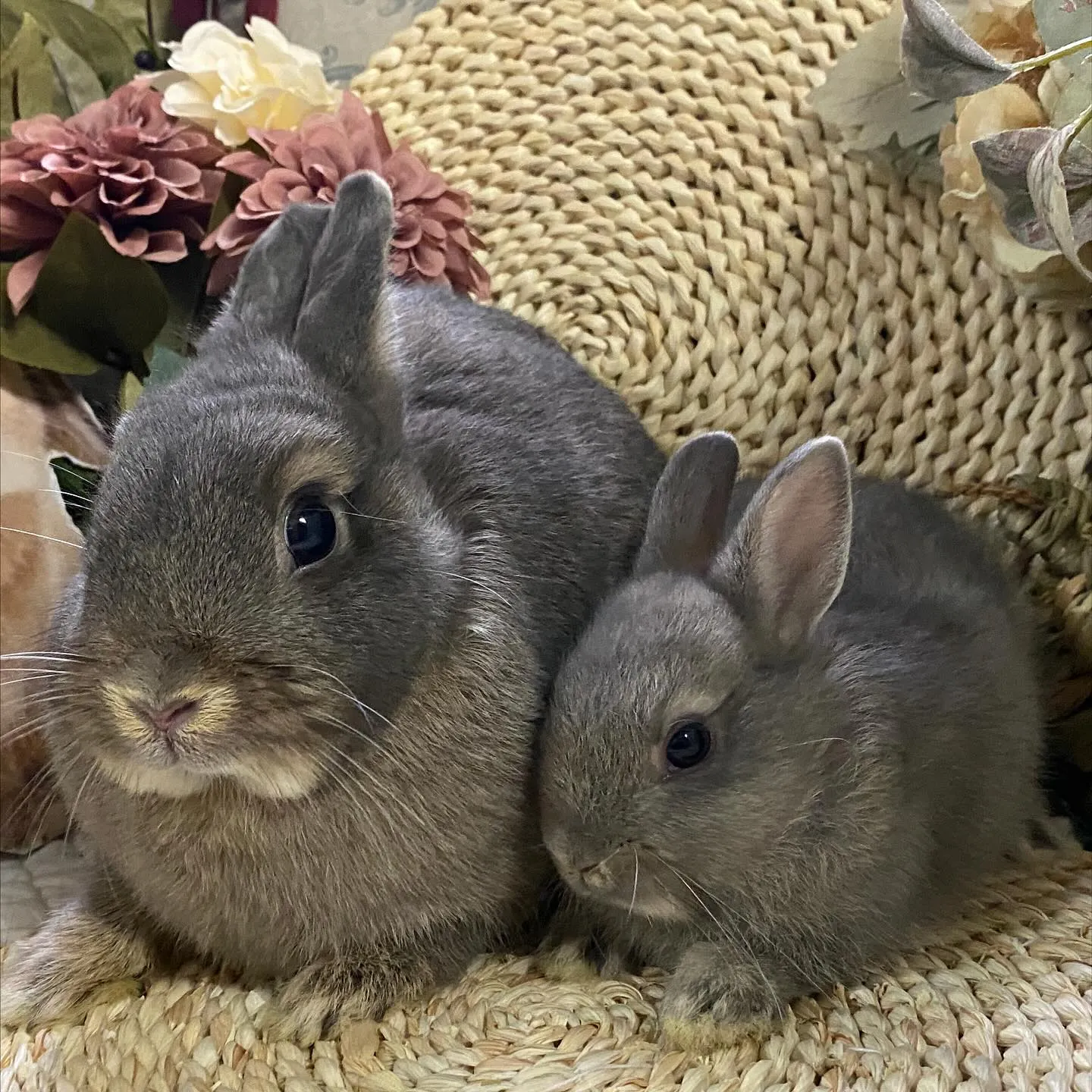 ☆店頭デビュー☆