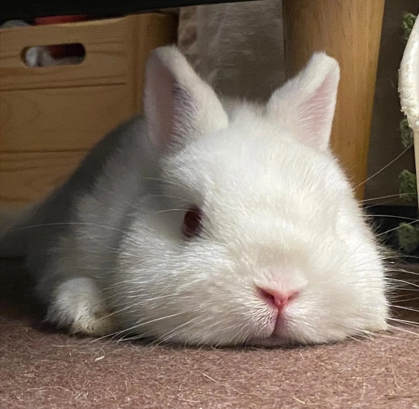 ☆店頭デビュー☆