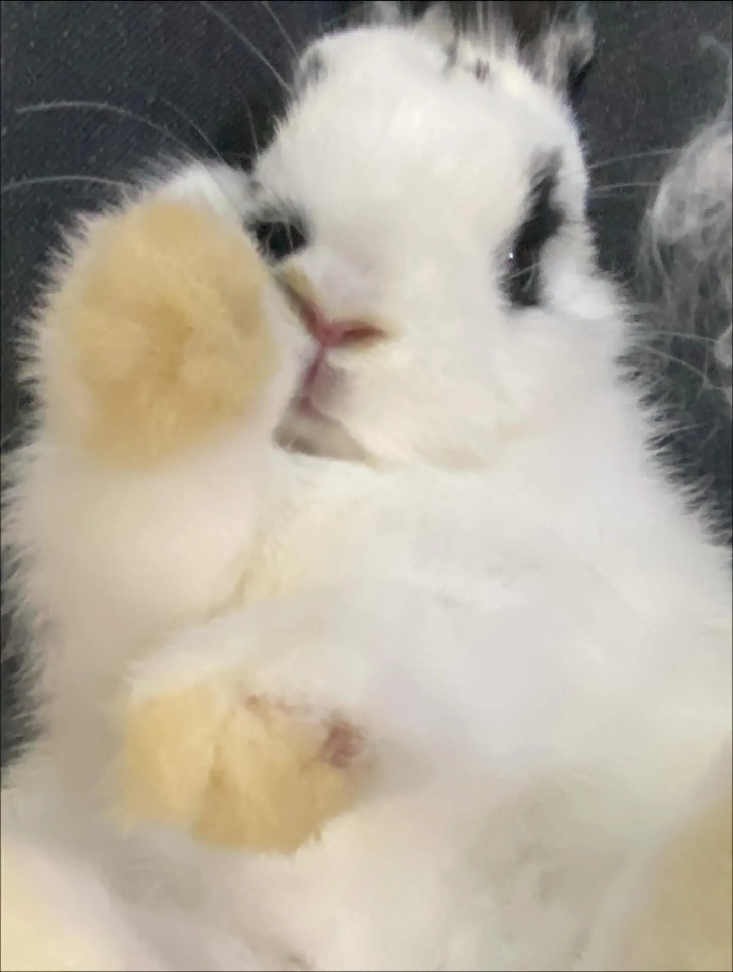 ☆爪切りタイム☆