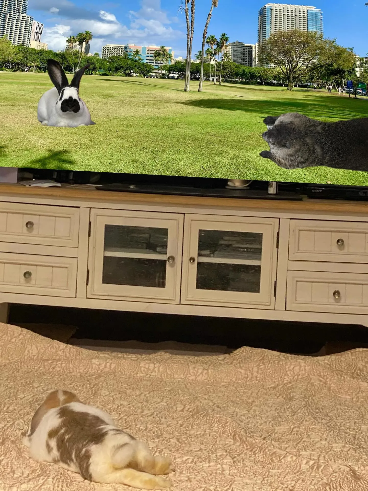 ☆突破ファイル☆