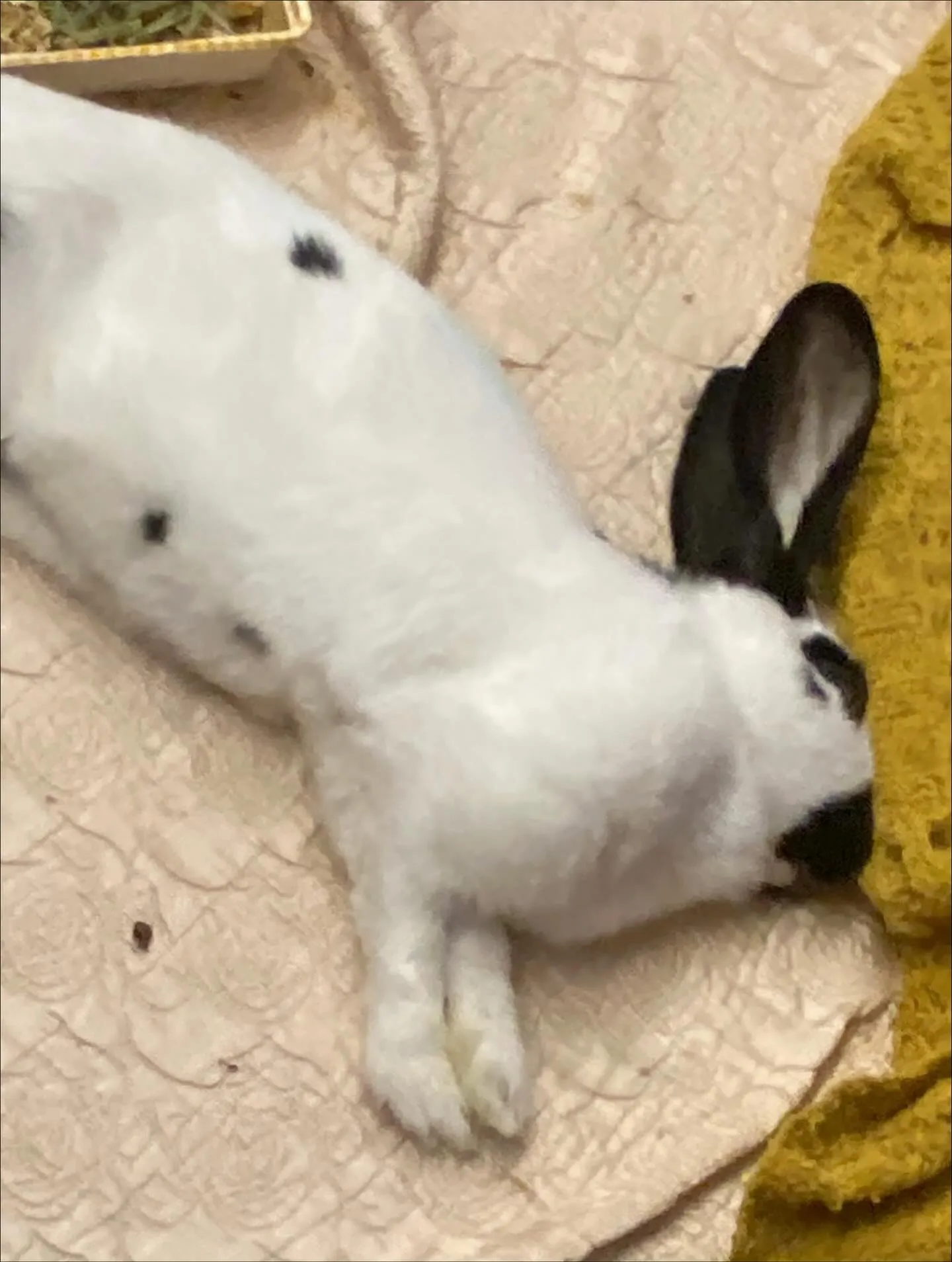 ☆寝姿☆