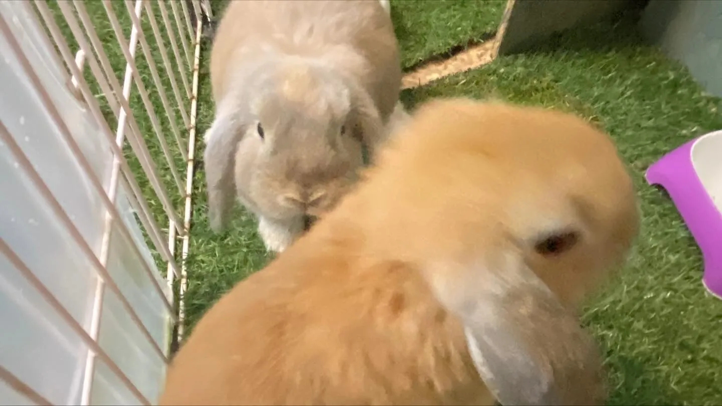 ☆多頭飼育☆
