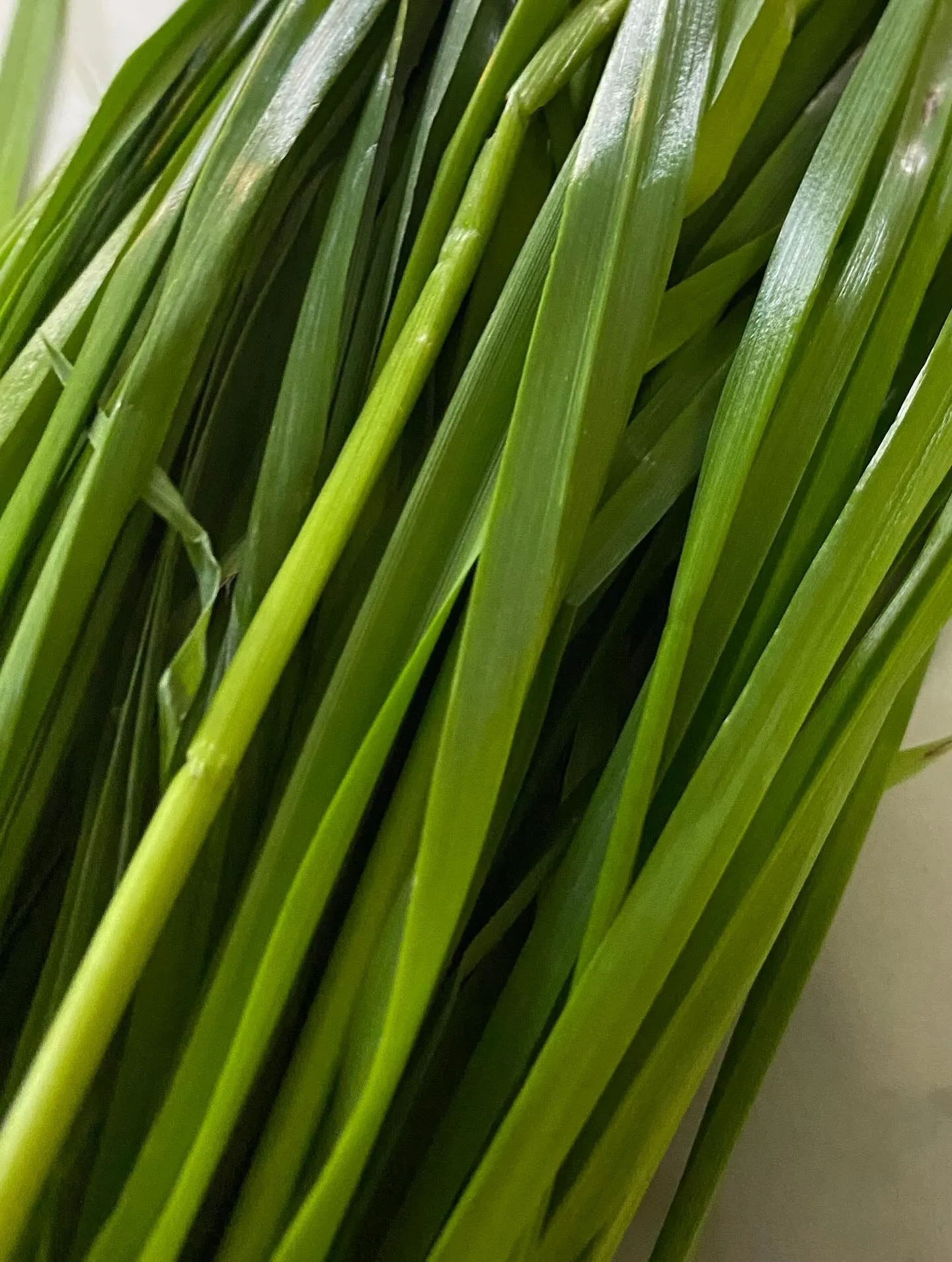 ☆ライグラス☆