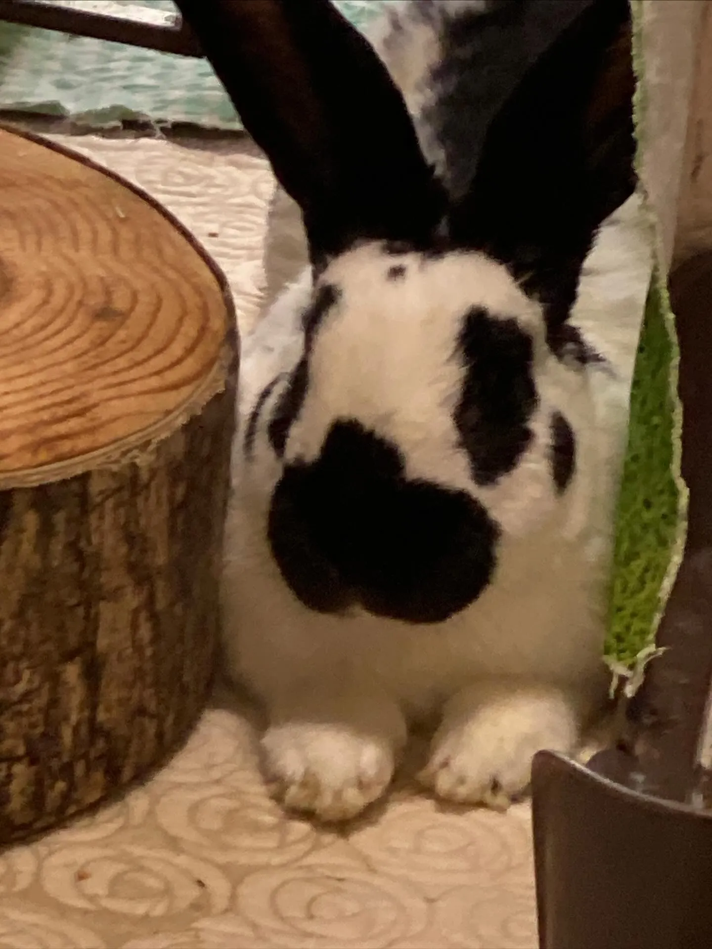 ☆RC営業部長引退☆