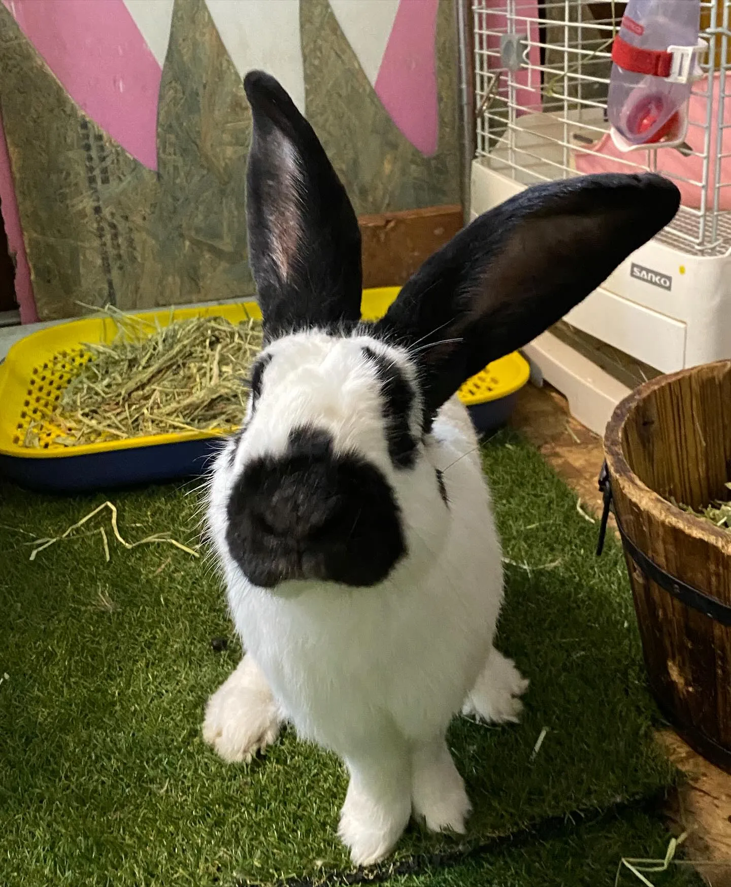 ☆６代目営業部長挨拶☆