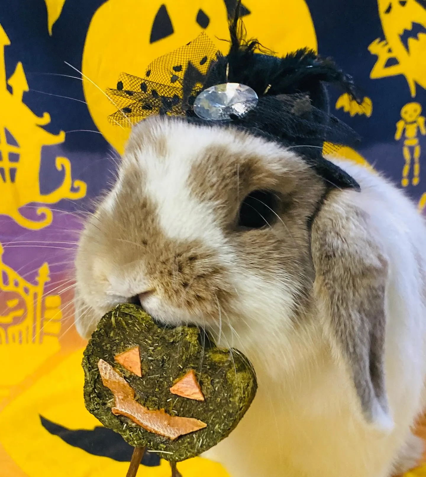 ☆ハッピーハロウィン☆