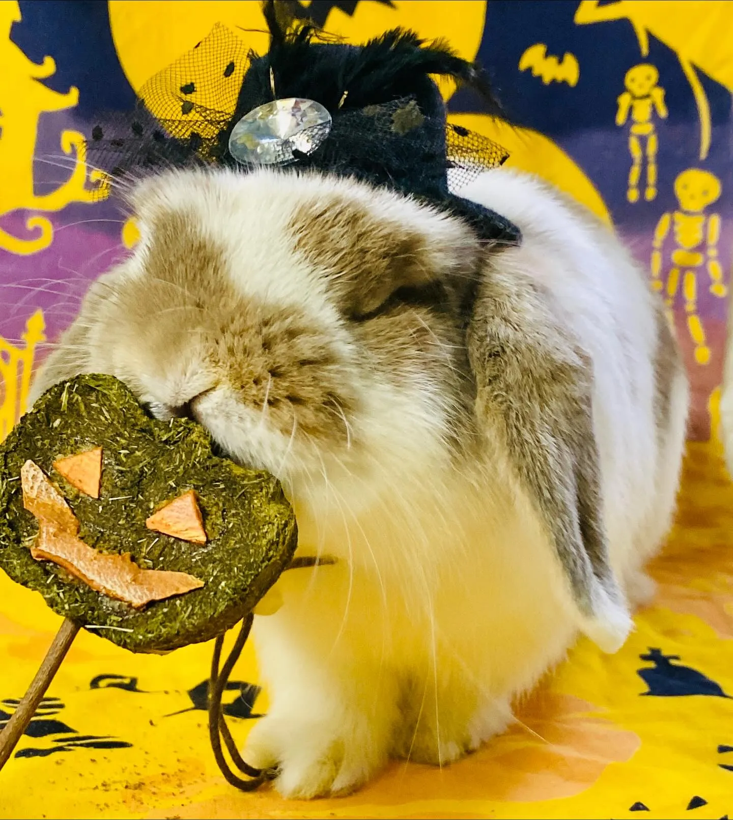 ☆ハッピーハロウィン☆