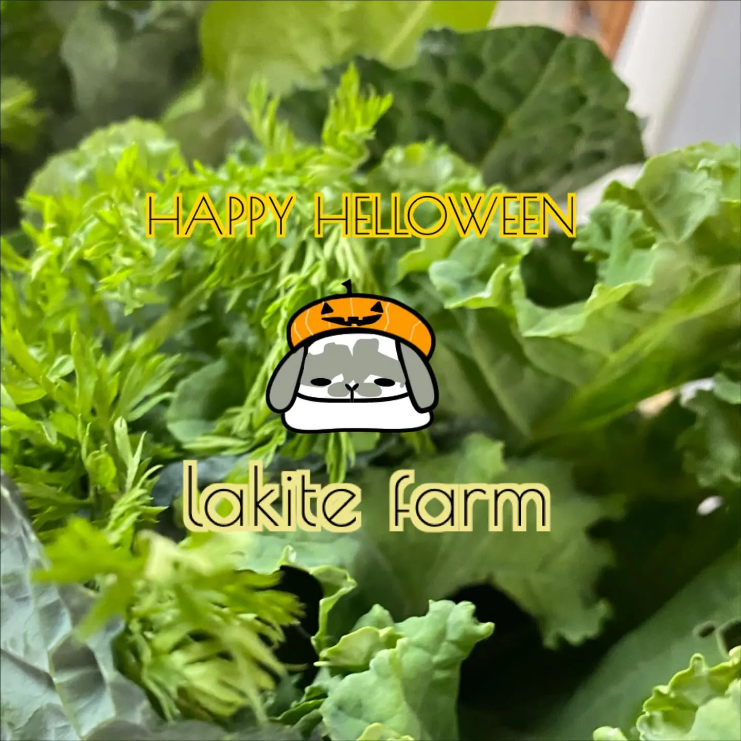 ☆ベジタブルハロウィン☆