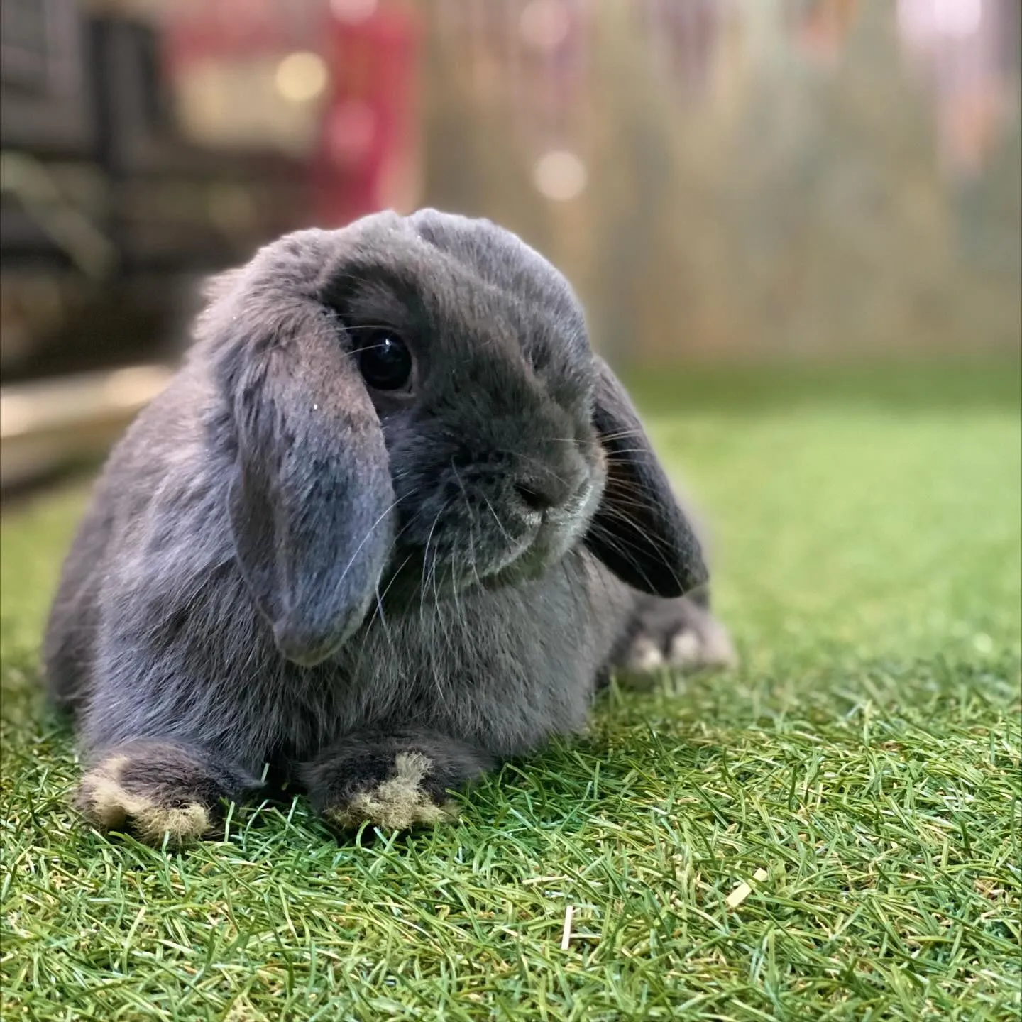 ☆放牧タイム☆