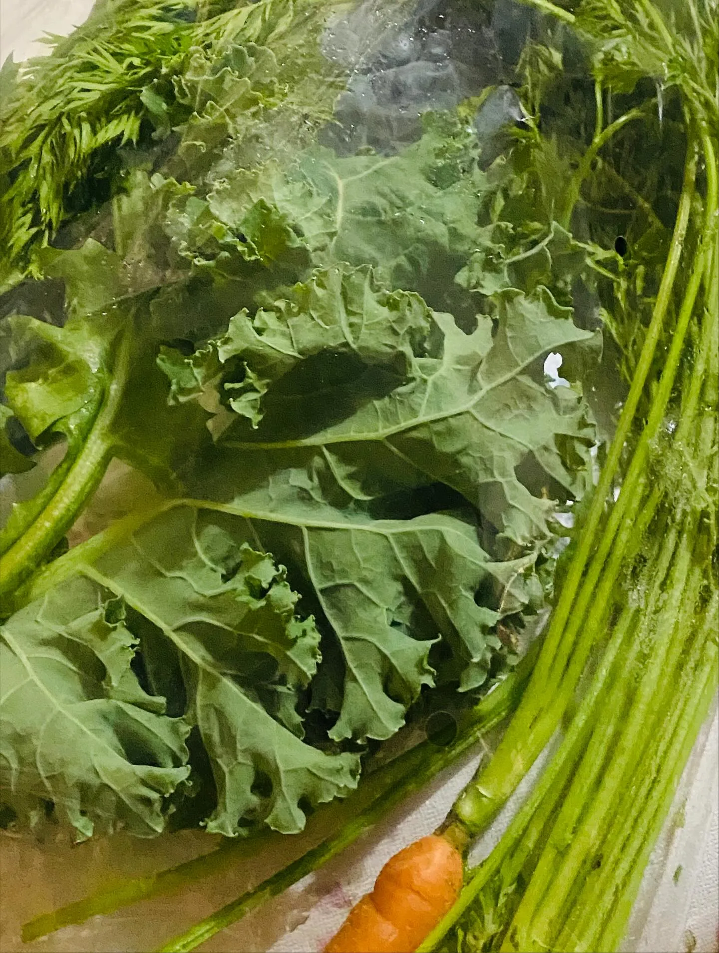 ☆ラキテファーム☆