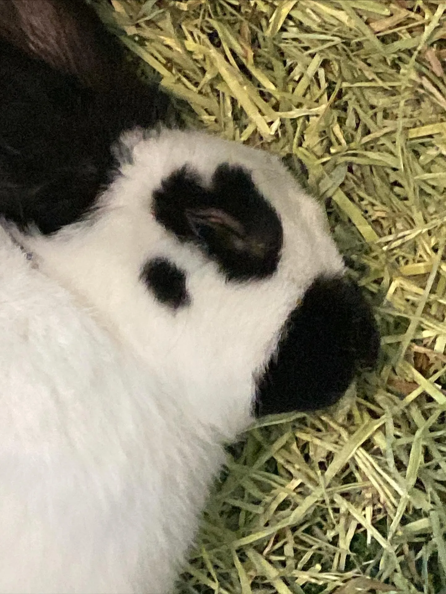 ☆すやすや〜☆