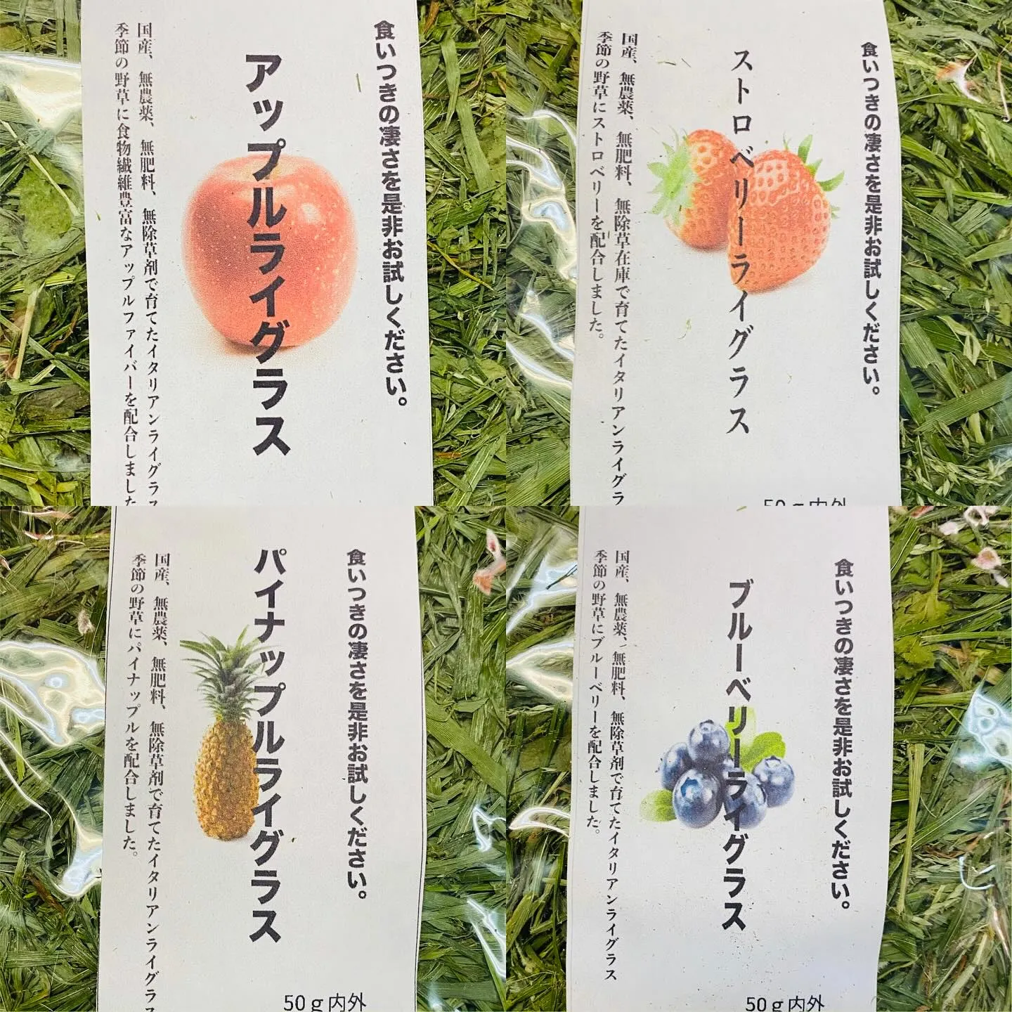 ☆牧草嫌いのうさぎさんに☆