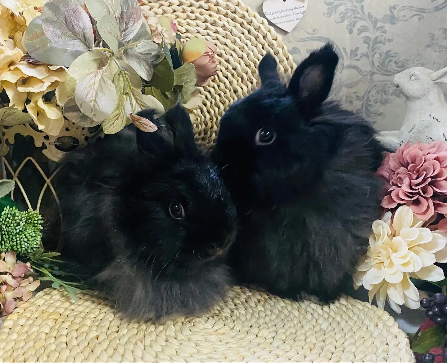 ☆ブラックジャージー☆