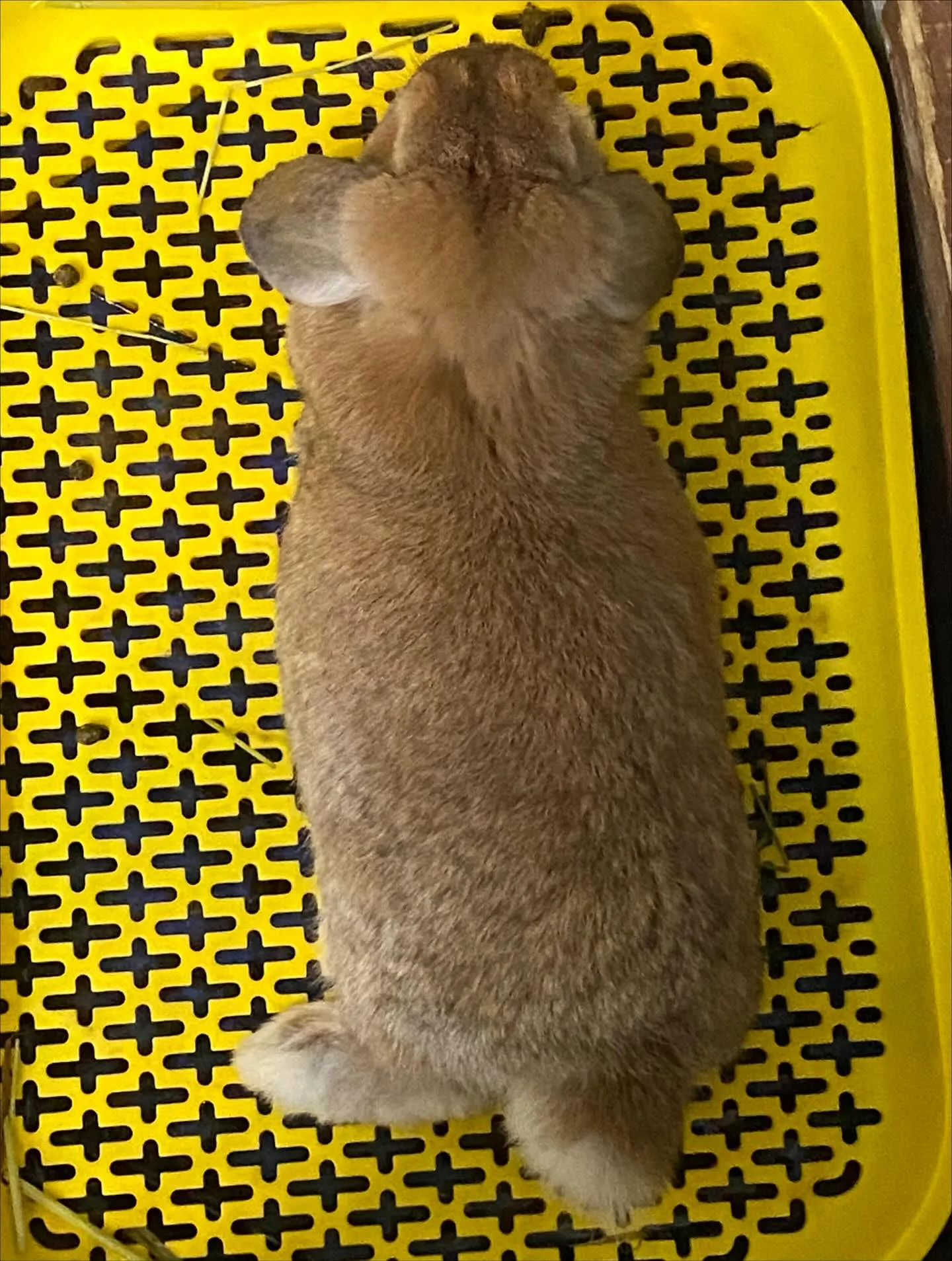 ☆フランスパン☆