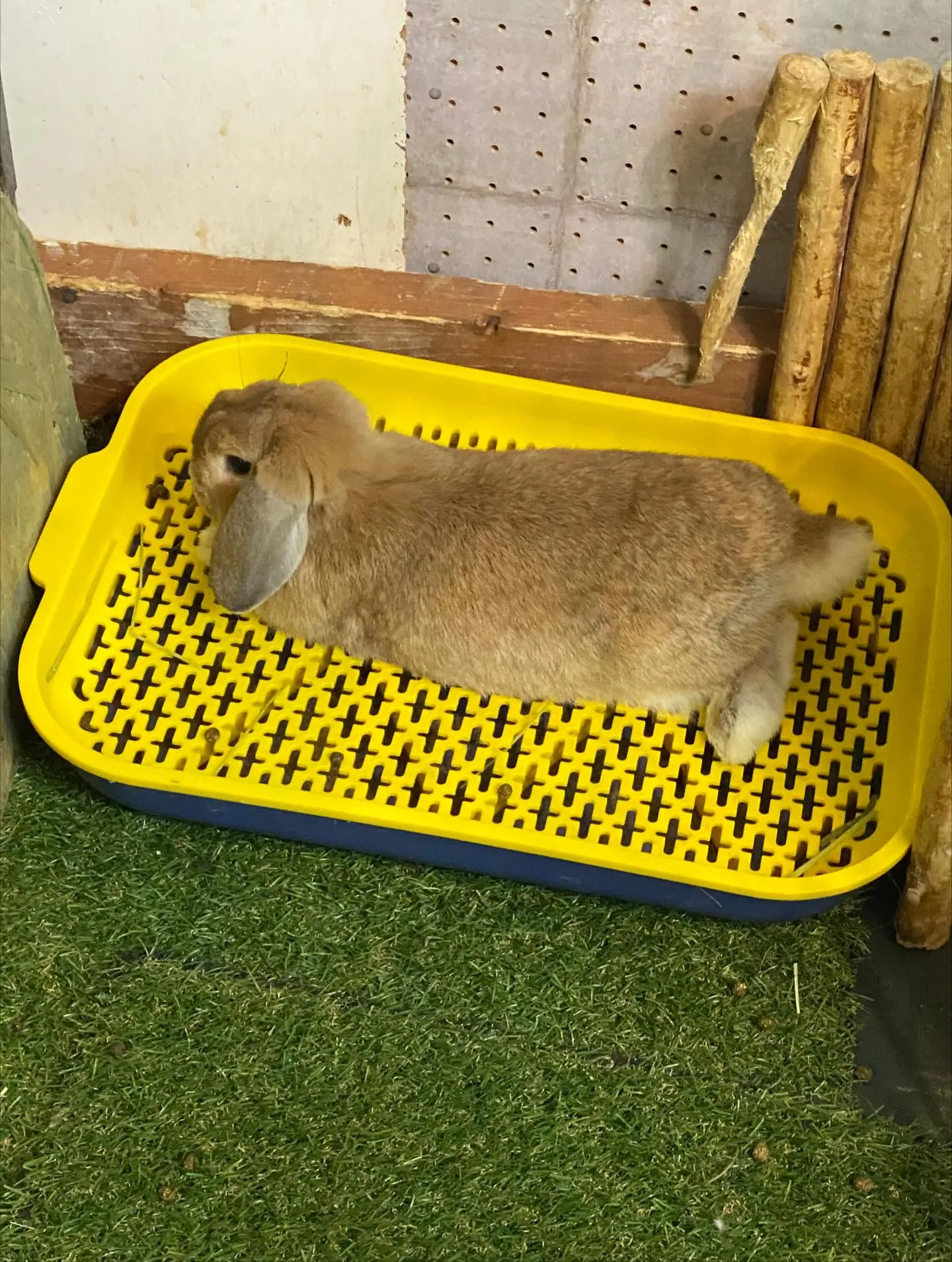 ☆フランスパン☆