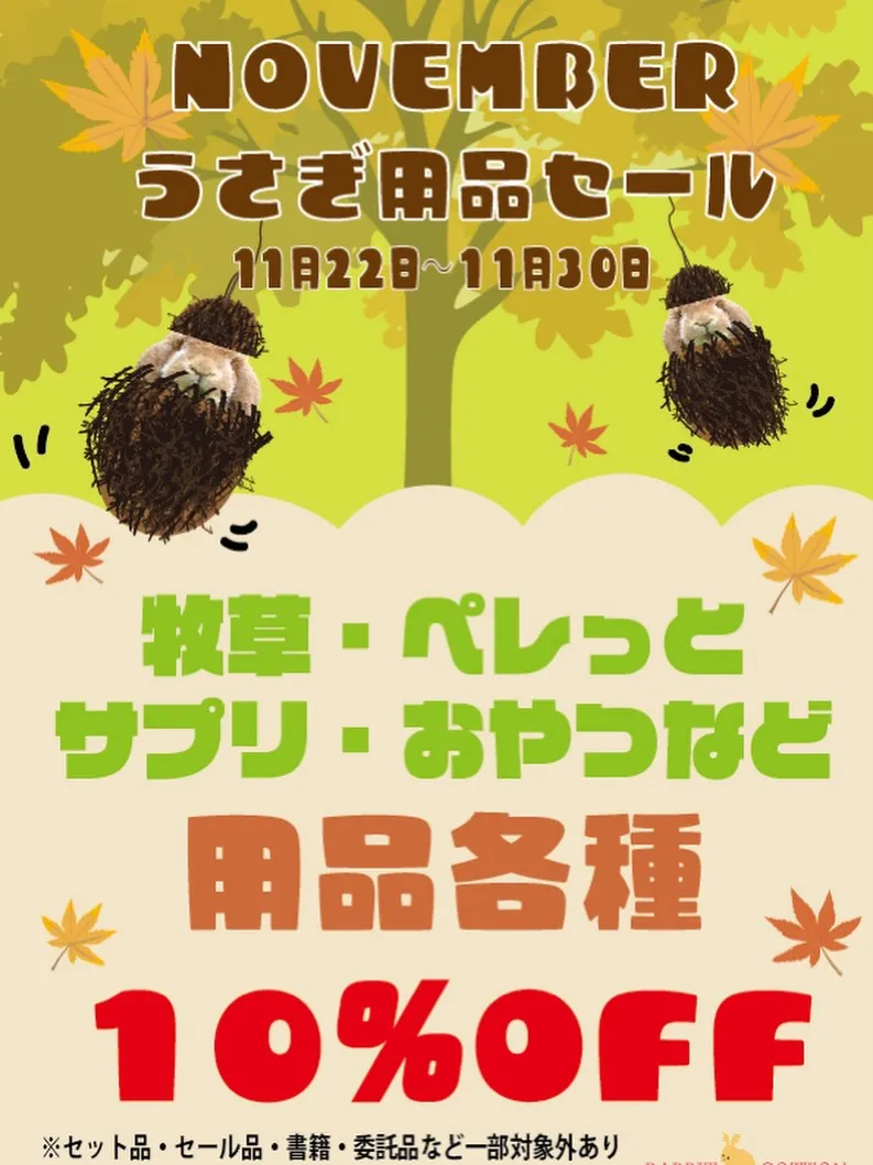 ☆うさぎ用品SALE☆
