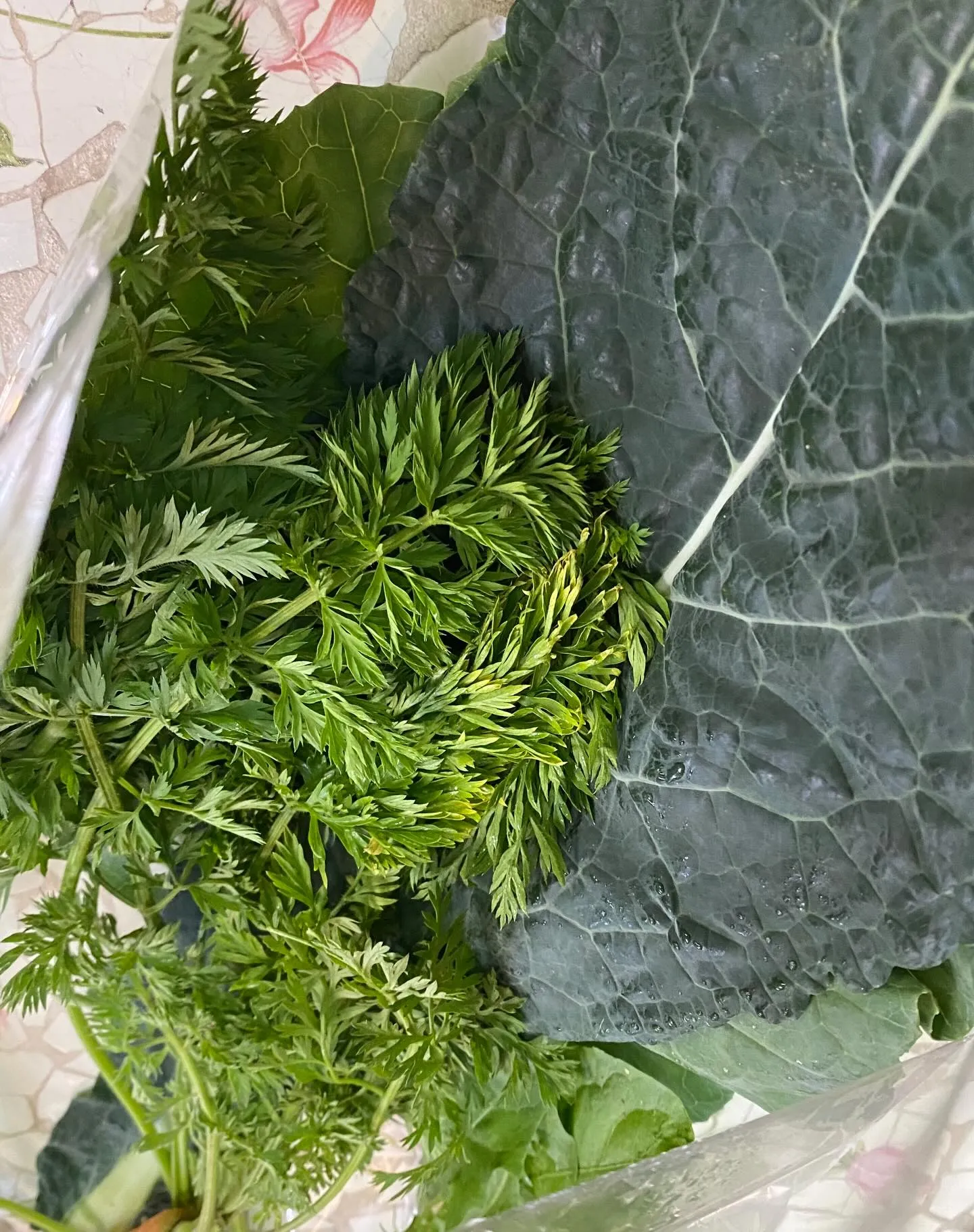 ☆ラキテファーム☆