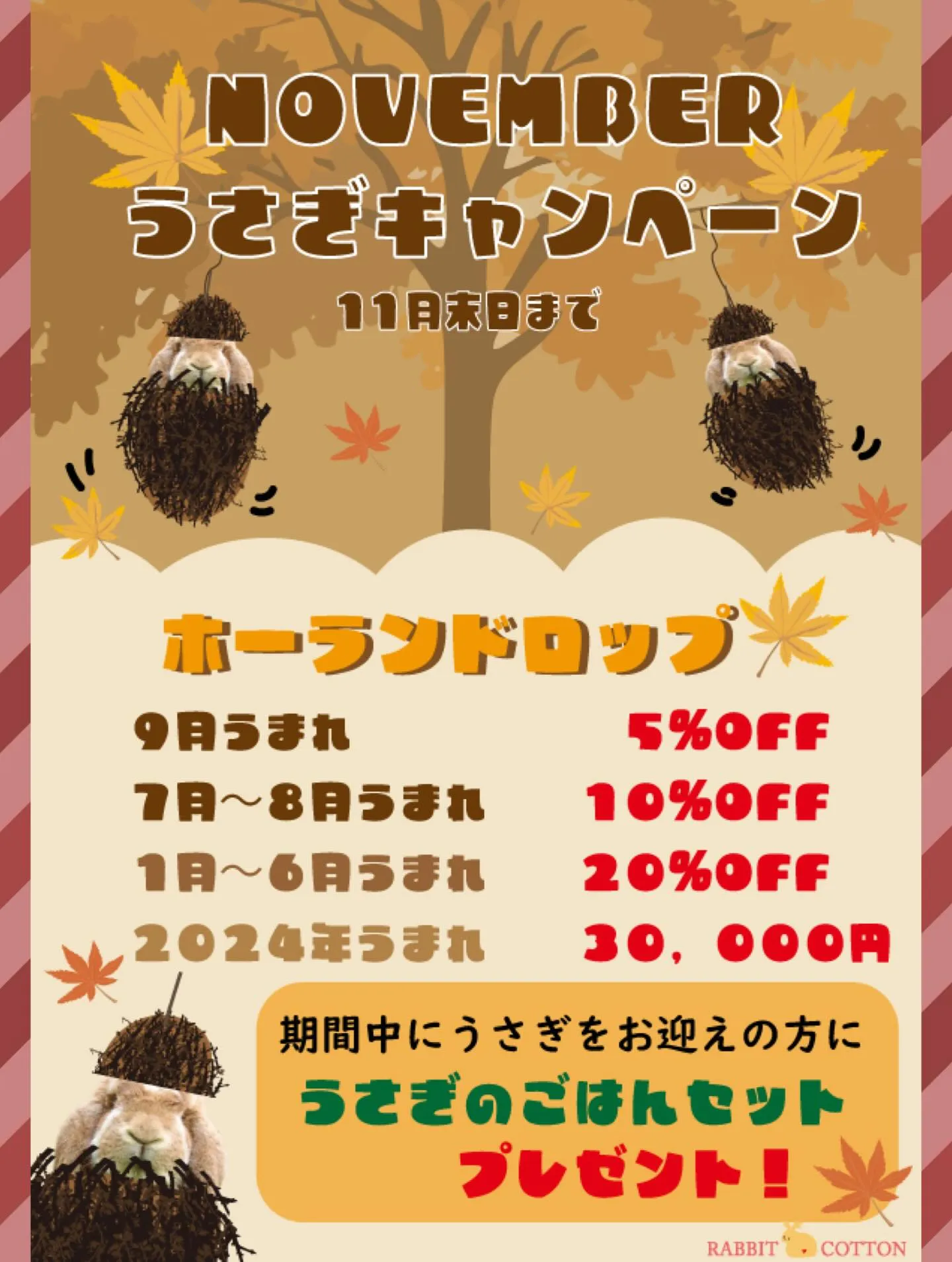 ☆本日店頭デビュー☆