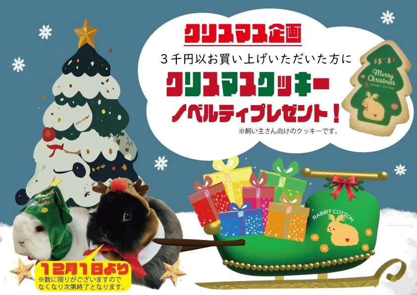 ☆クリスマス企画第１弾☆