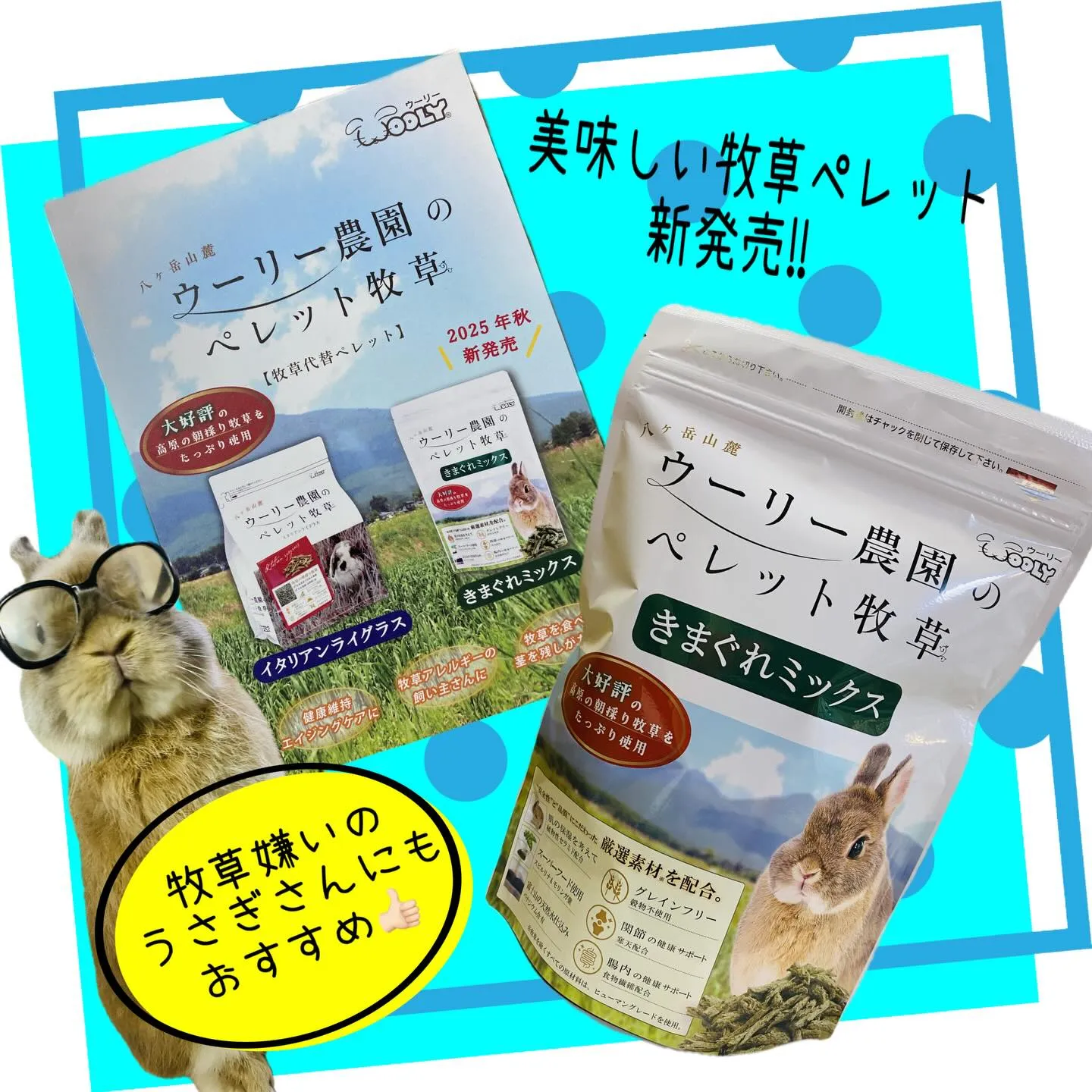 ☆新商品のお知らせ☆