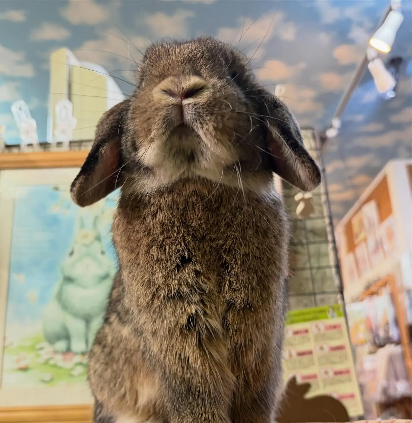 ⭐︎イケメンチェスさん⭐︎