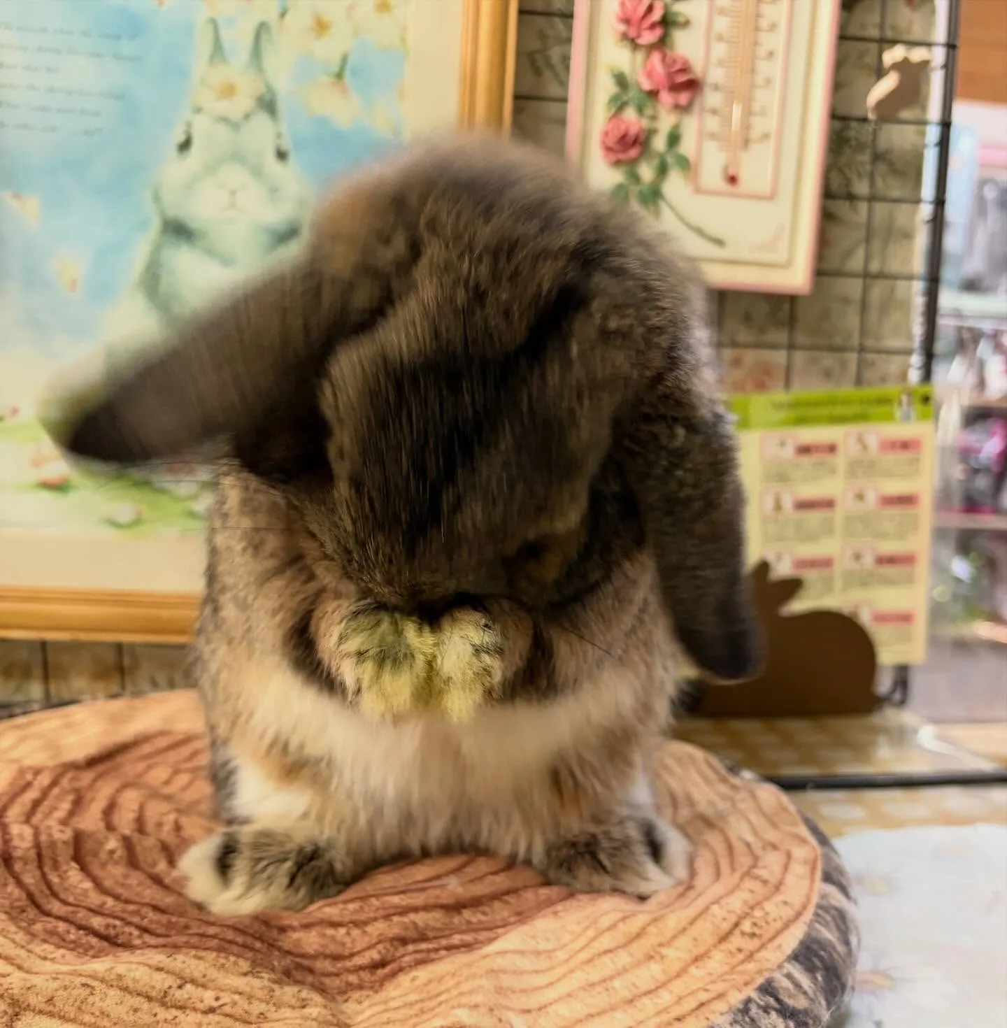 ⭐︎イケメンチェスさん⭐︎