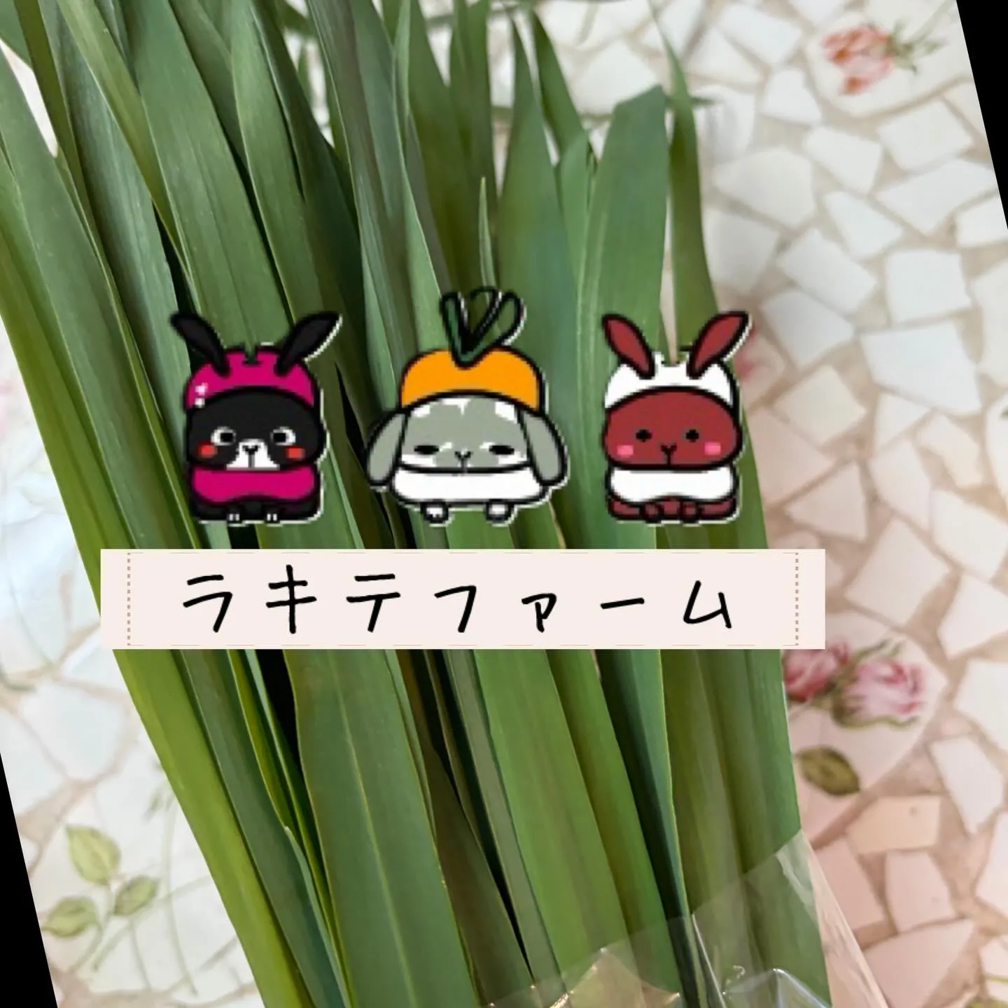 ⭐︎ラキテ葉っぱ⭐︎