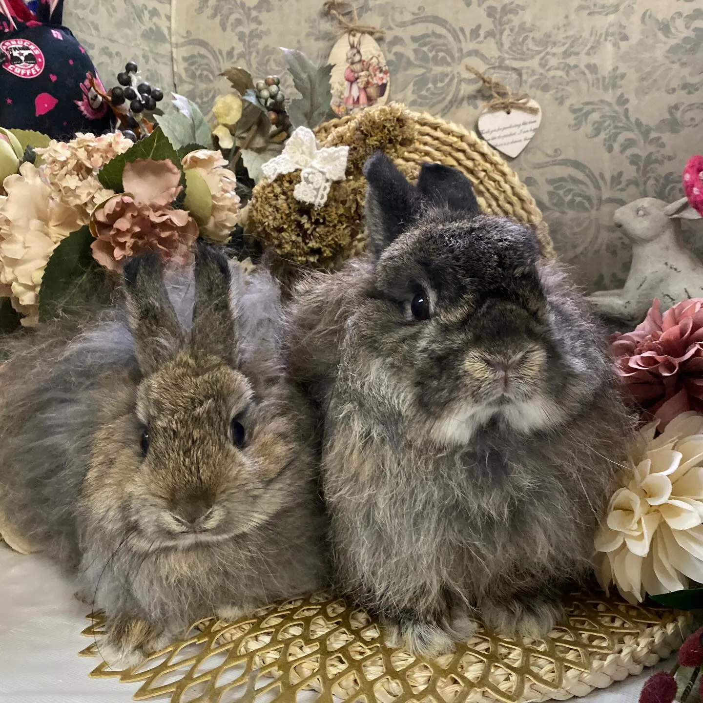 ⭐︎ジャージー⭐︎