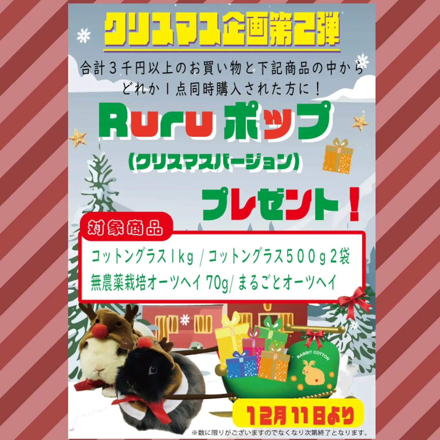 ⭐︎クリスマス企画第2弾⭐︎