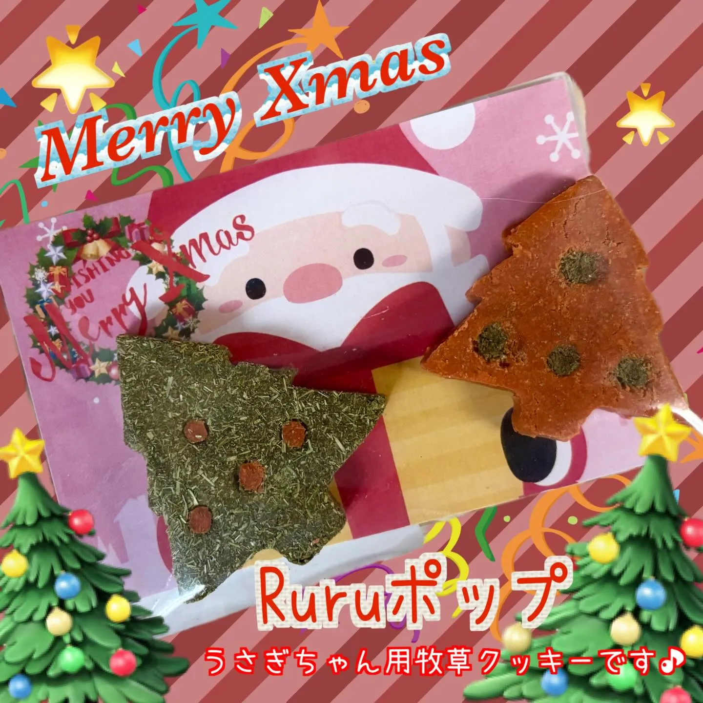 ⭐︎クリスマス企画第2弾⭐︎