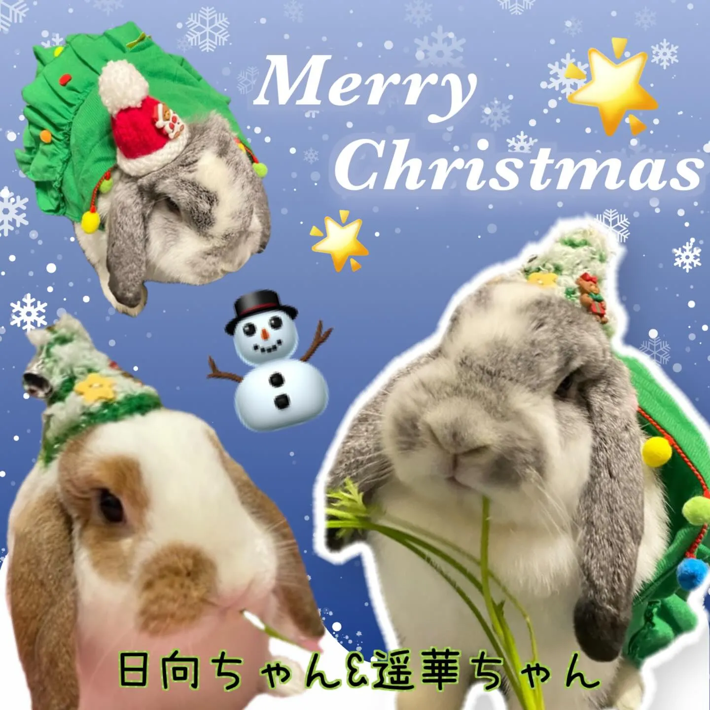 ⭐︎乗っけ帽子⭐︎