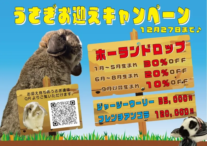 ⭐︎2025年最後のお迎えキャンペーン⭐︎