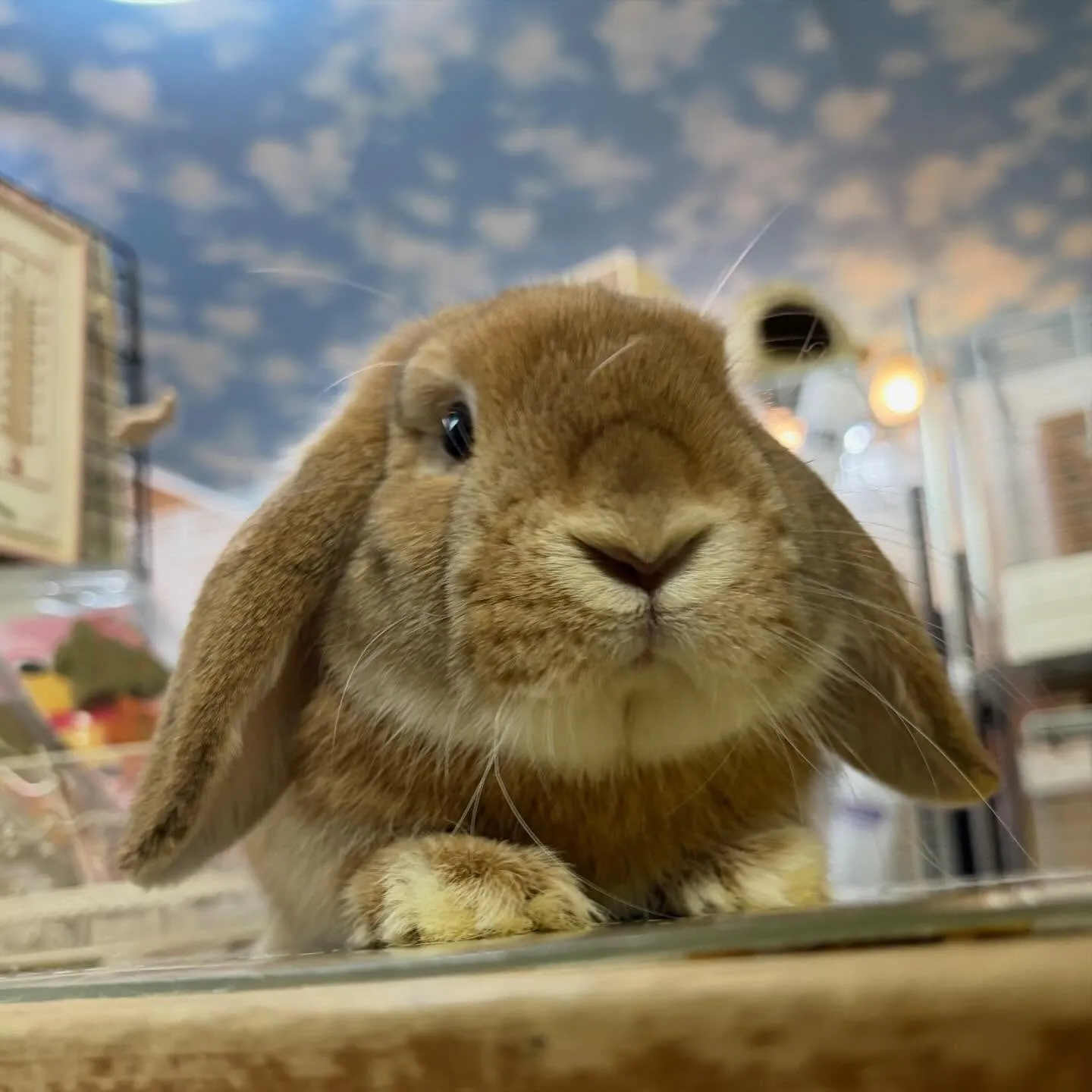 ⭐︎オレンジ⭐︎