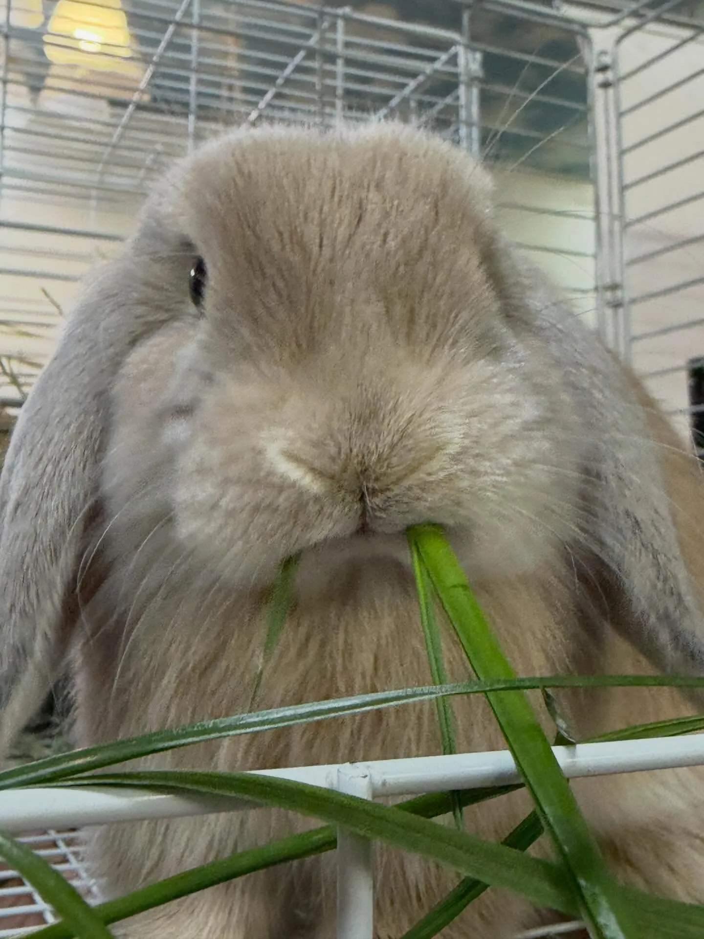 ⭐︎生イタリアン⭐︎