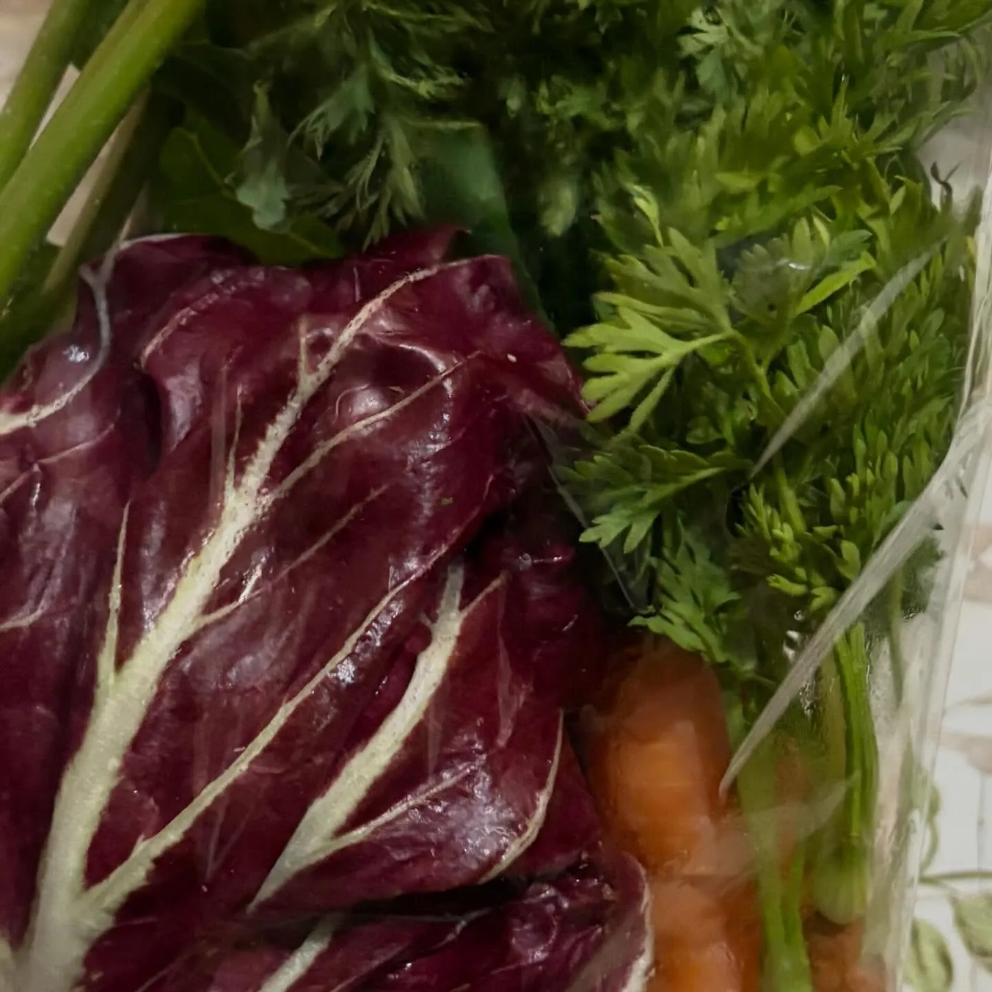 ⭐︎2025年最終入荷⭐︎