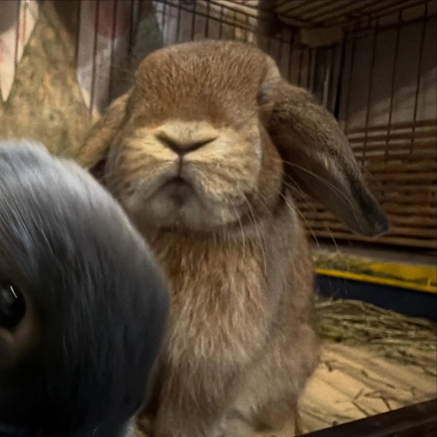 ⭐︎グイグイ系⭐︎