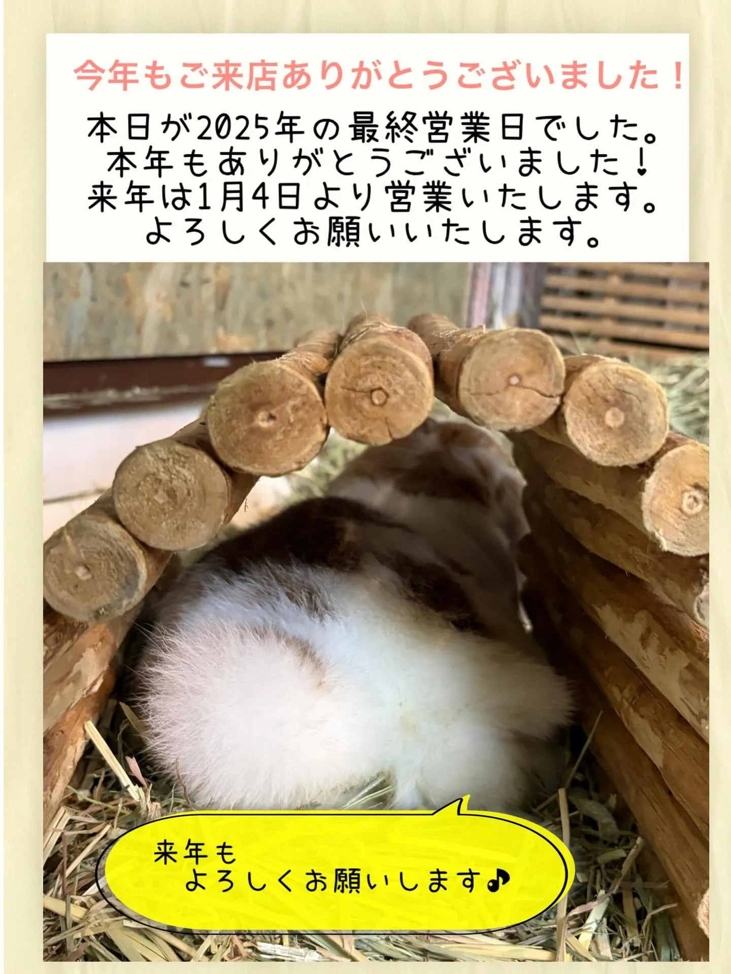 ⭐︎本年最終営業日⭐︎