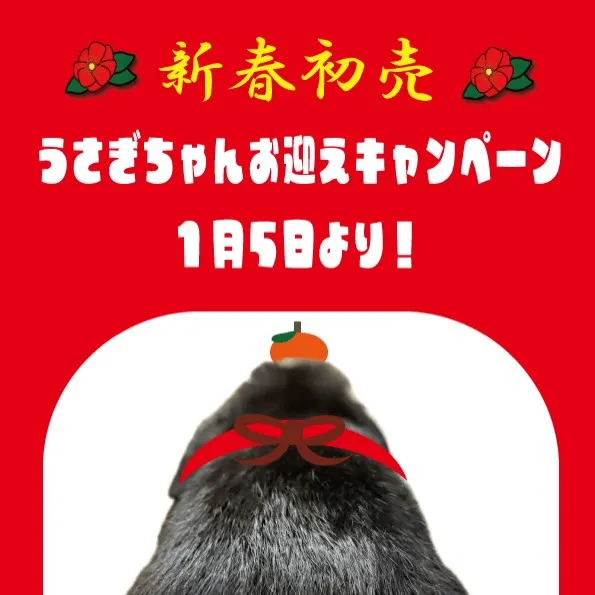 ⭐︎新春初売のお知らせ⭐︎