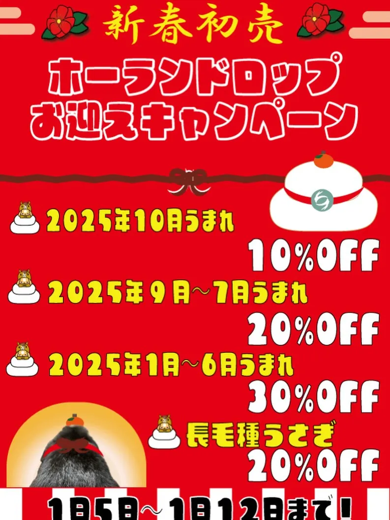 ⭐︎1月5日より⭐︎