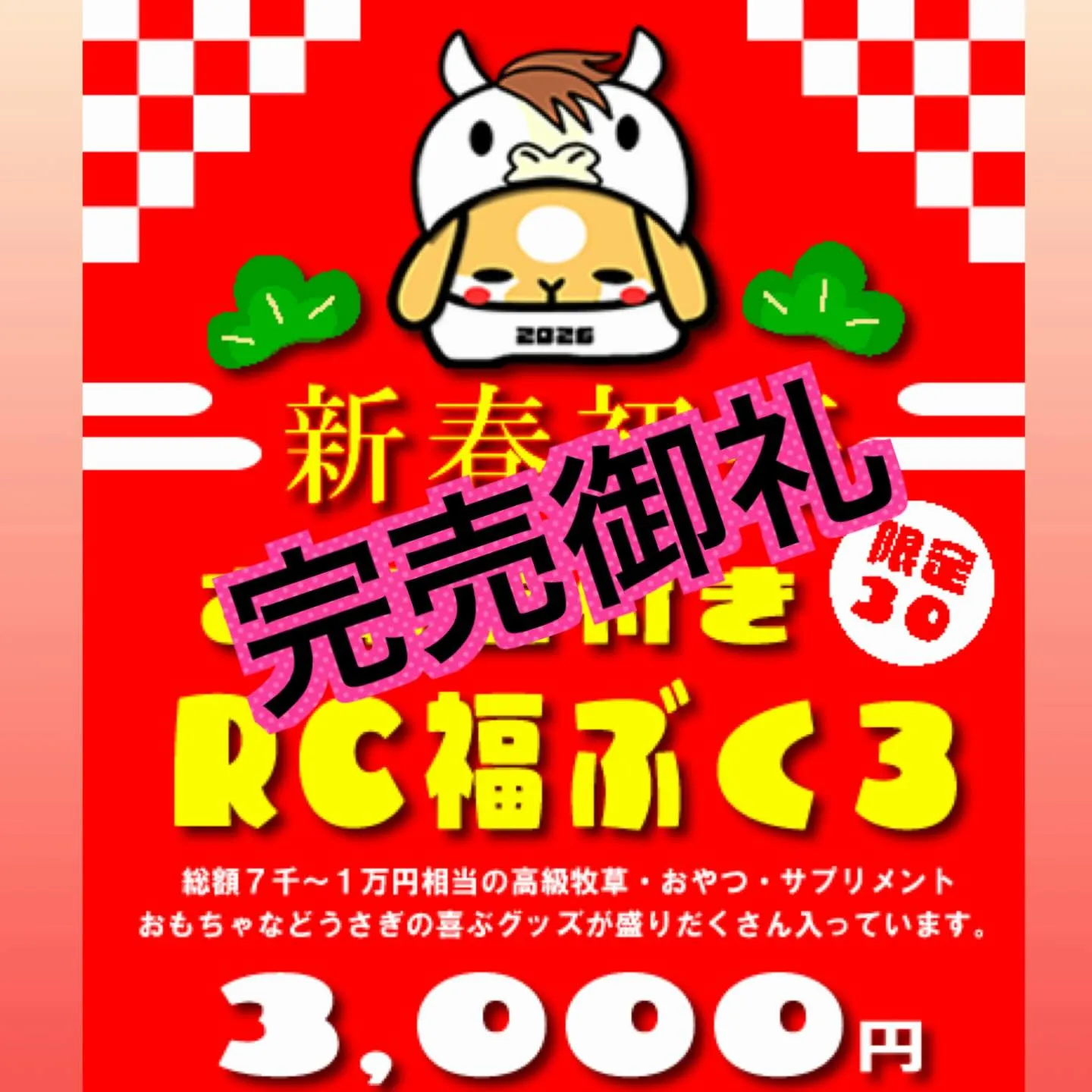 ⭐︎完売御礼⭐︎