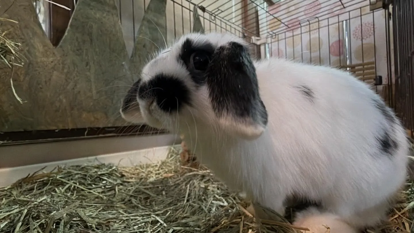 ⭐︎年明け⭐︎