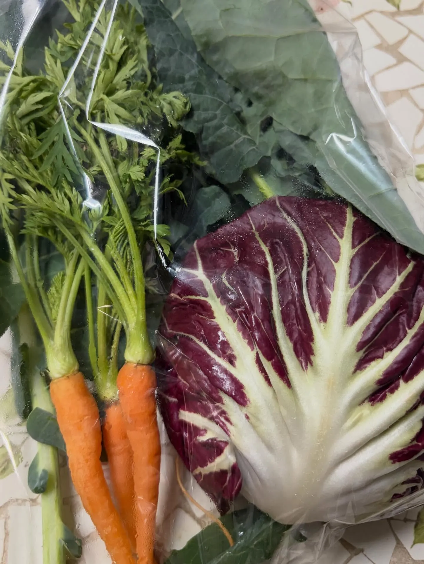 ⭐︎ラキテ葉っぱ⭐︎