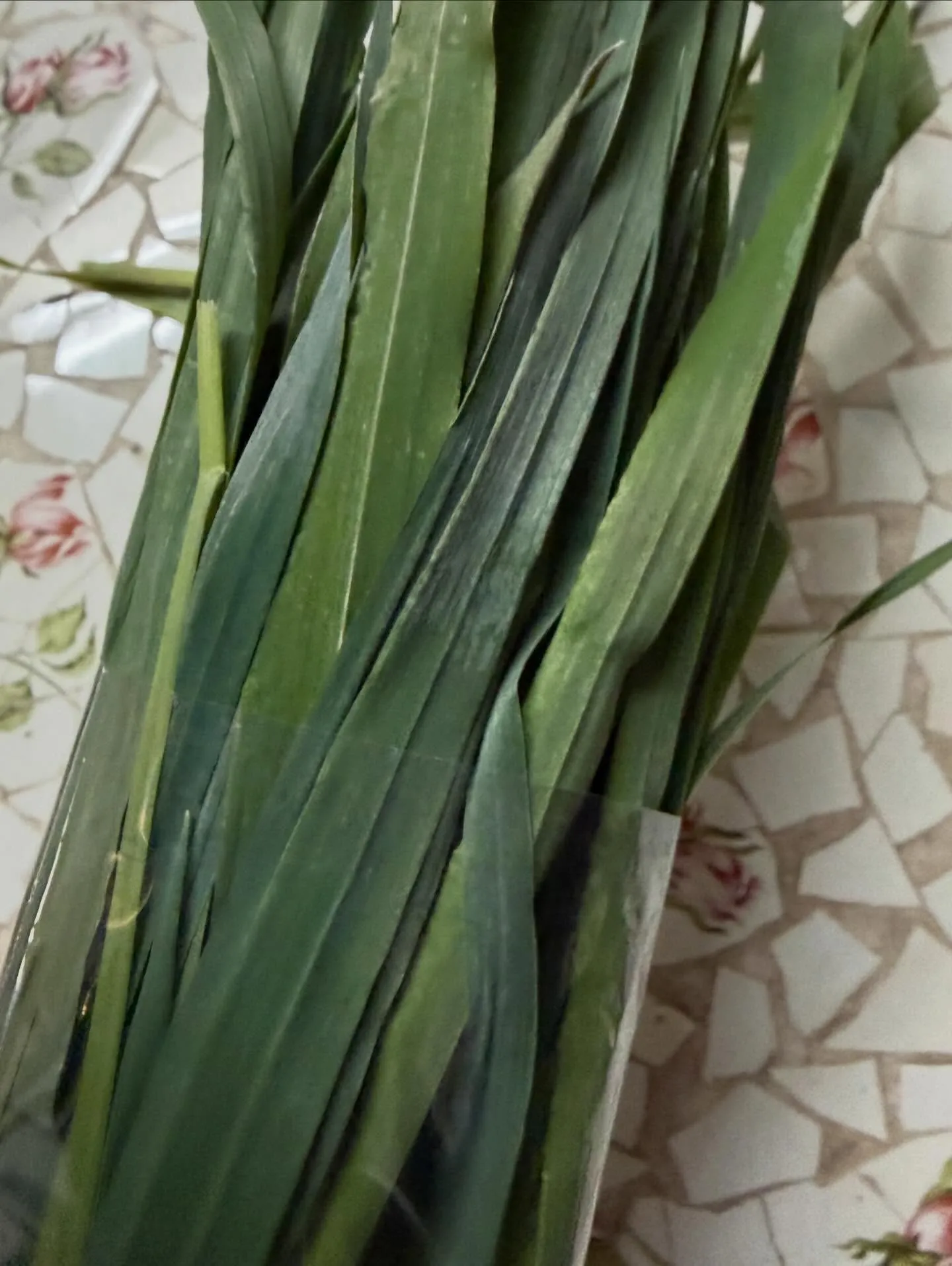 ⭐︎ラキテ葉っぱ⭐︎