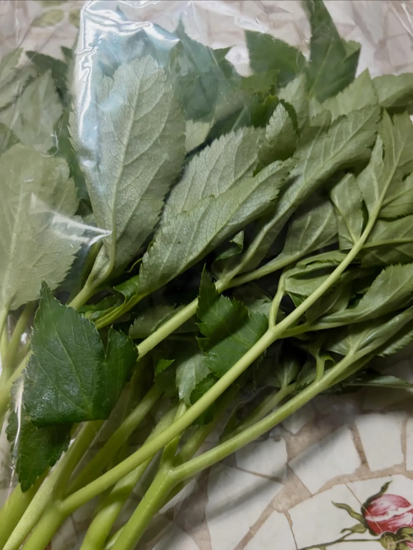 ⭐︎ラキテ葉っぱ⭐︎