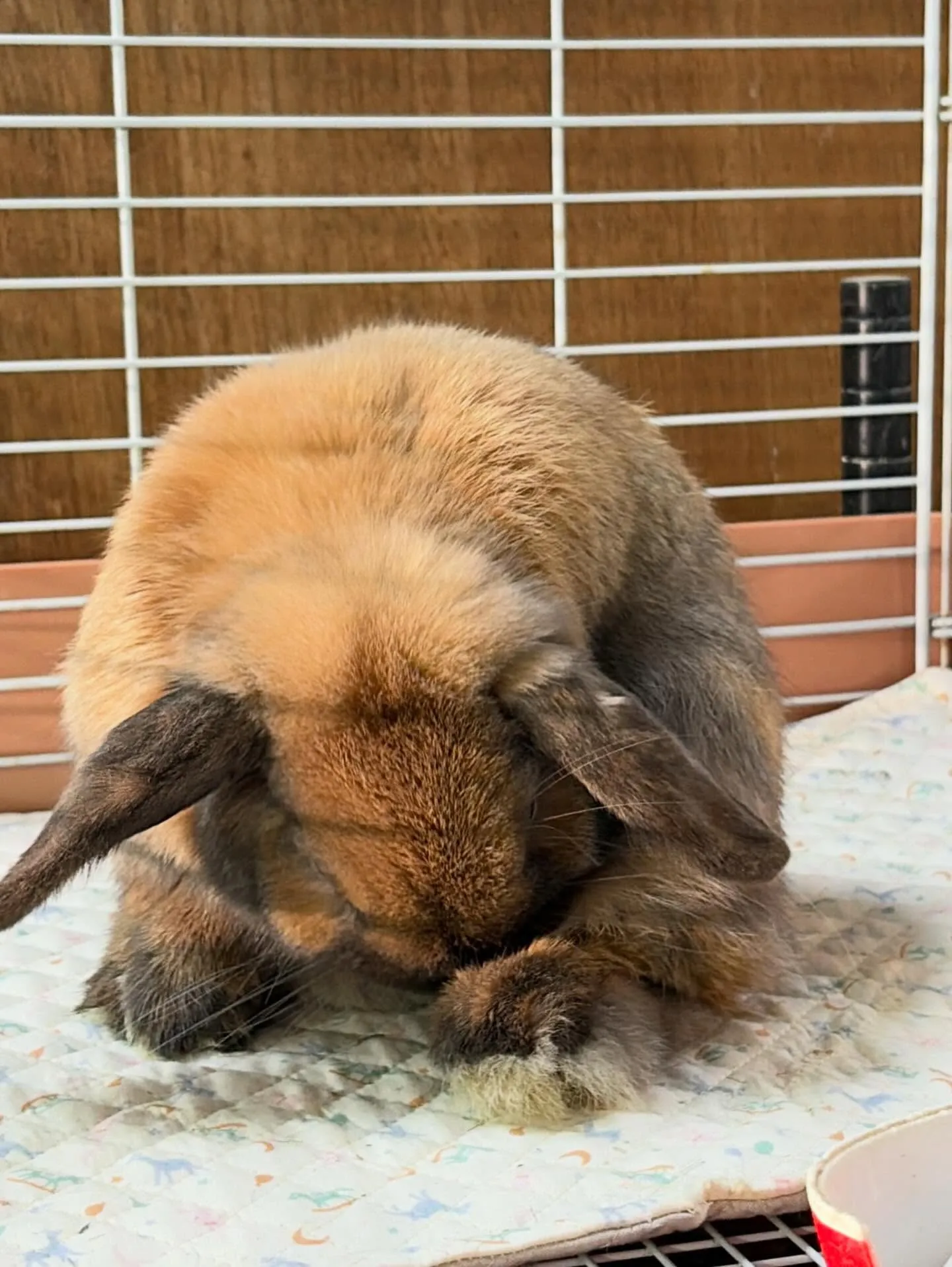 ⭐︎キルトマット⭐︎