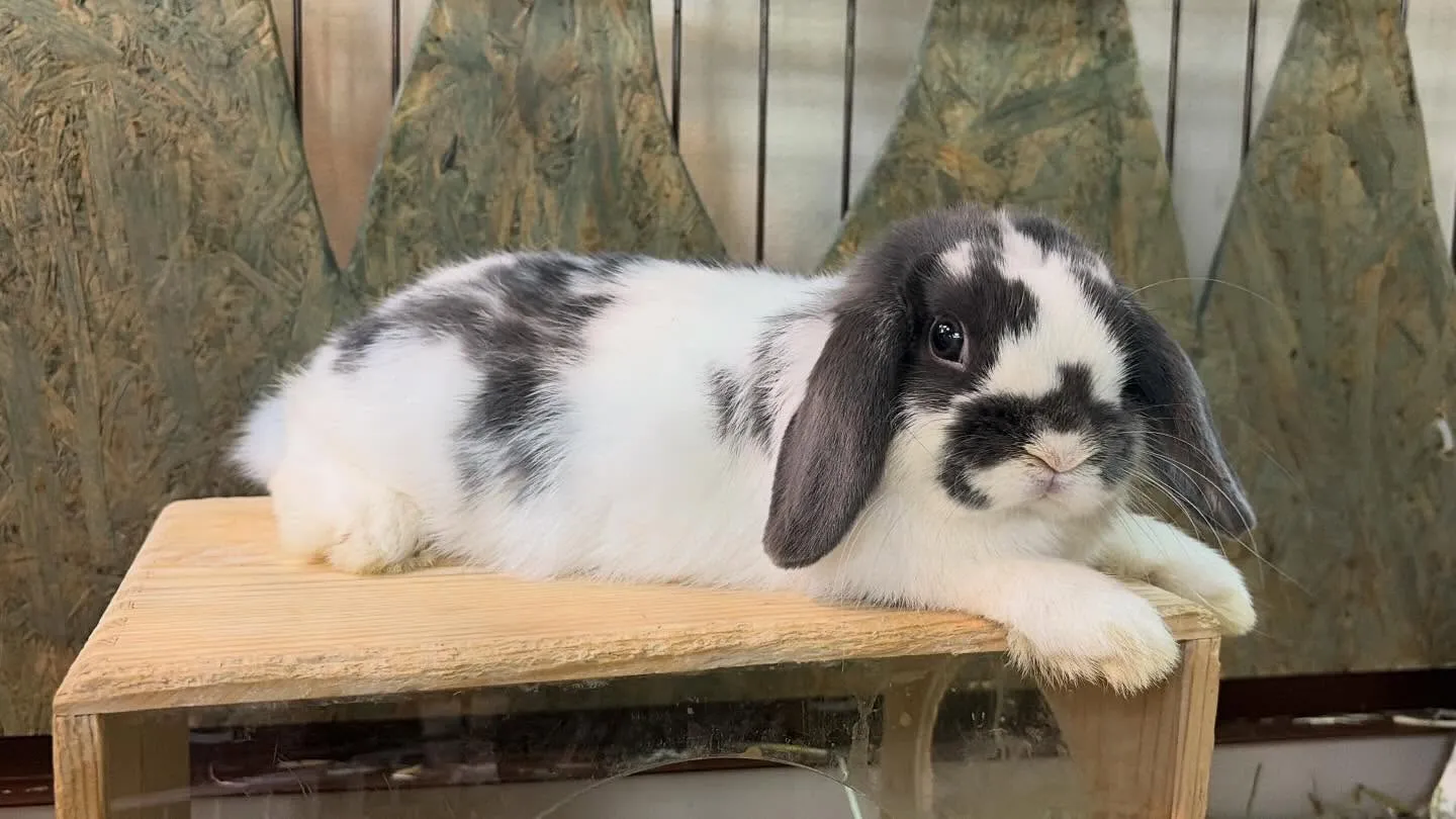 ⭐︎くつろぎ中⭐︎