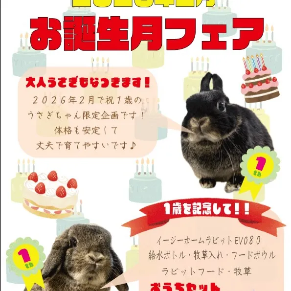 ⭐︎お誕生日フェア⭐︎