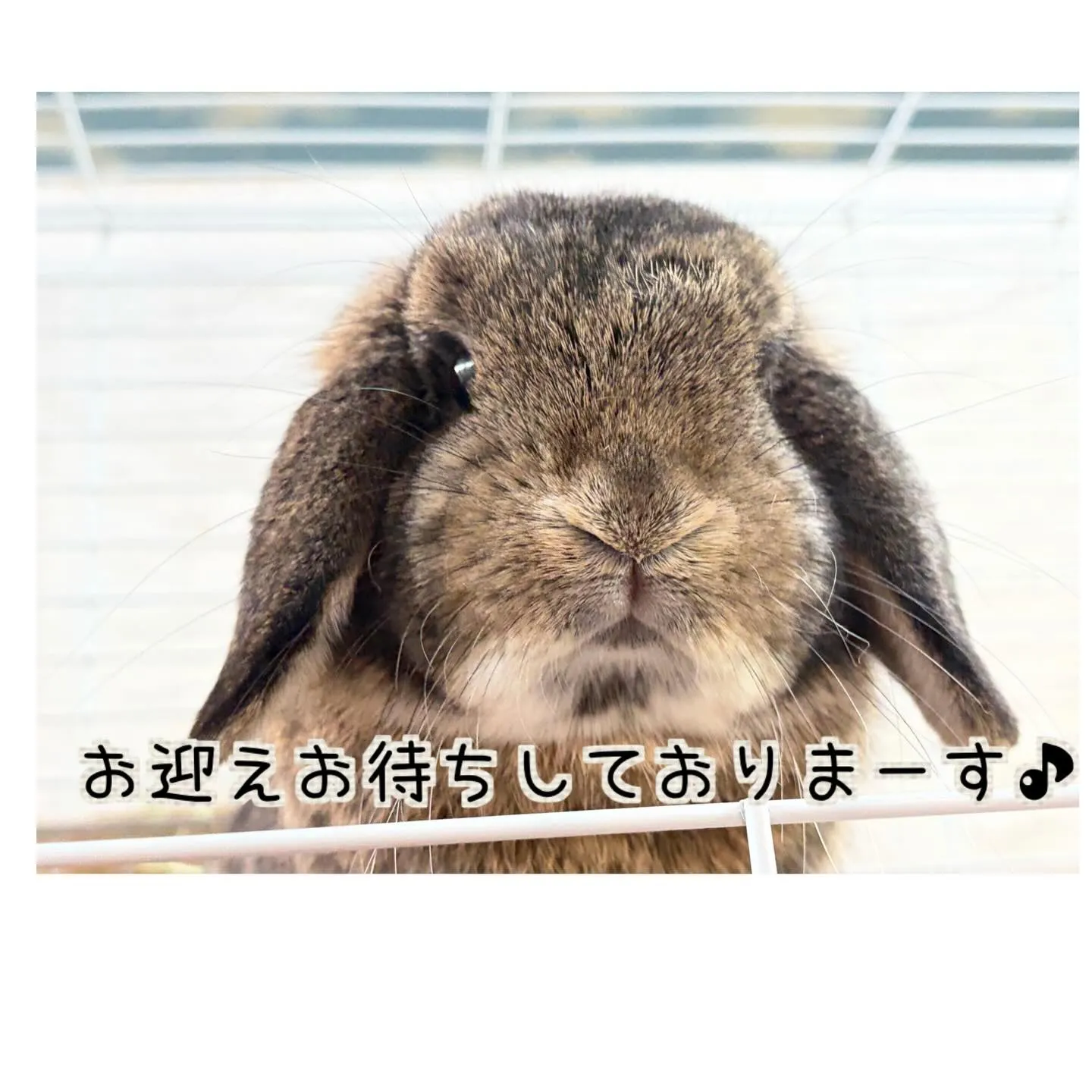 ⭐︎お誕生日フェア⭐︎