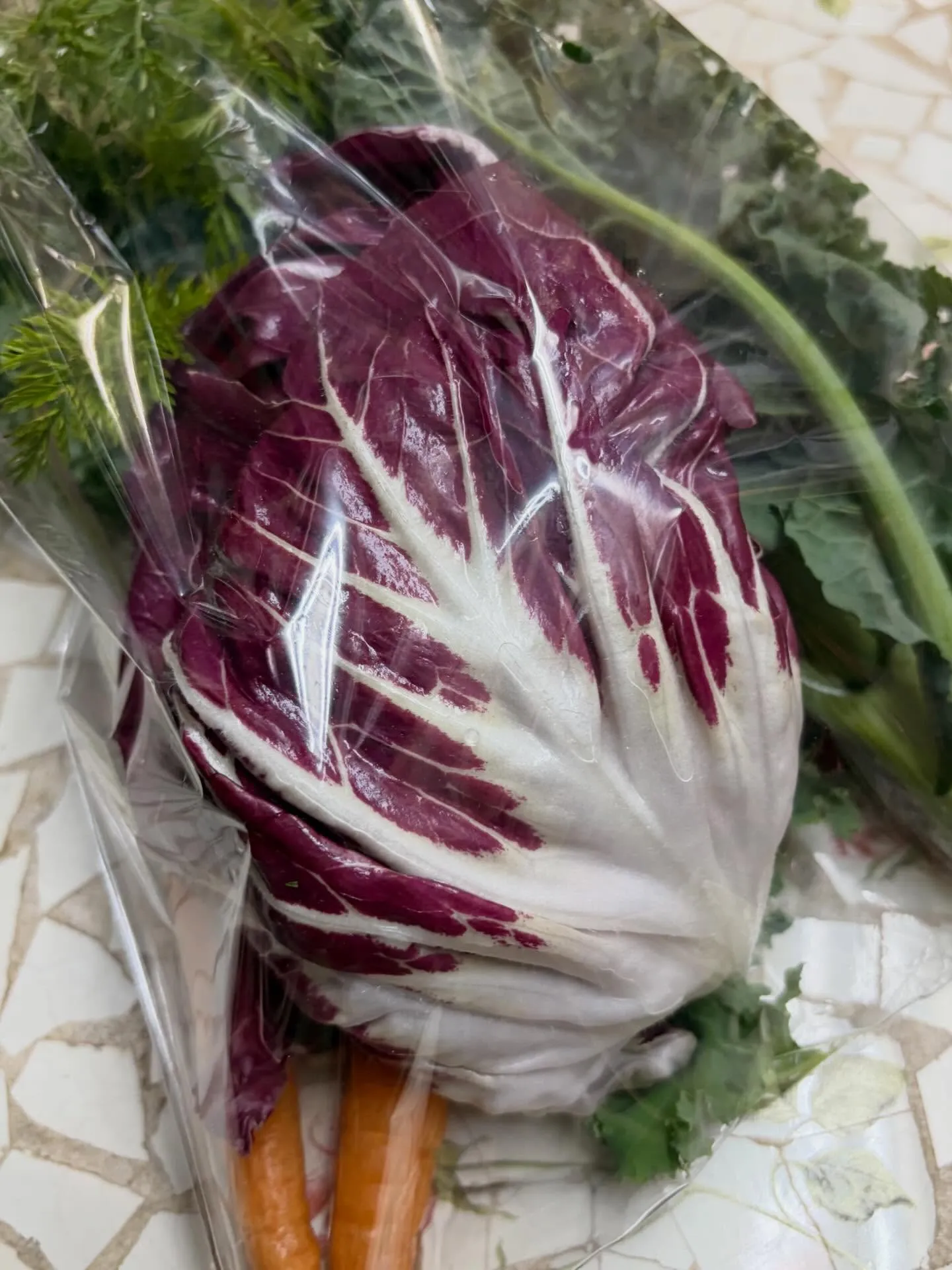 ⭐︎うまうま葉っぱ⭐︎