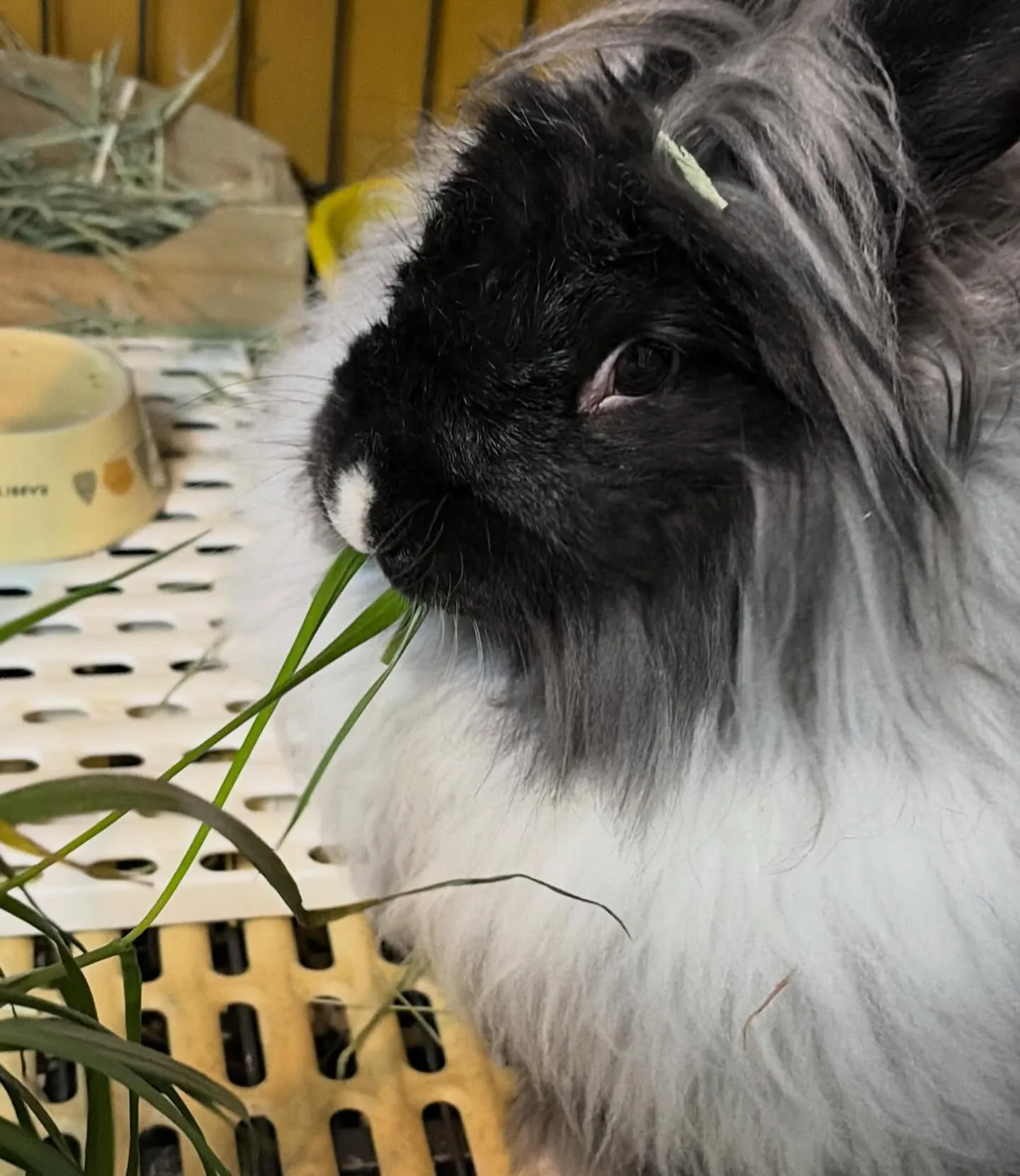 ⭐︎生イタリアン⭐︎